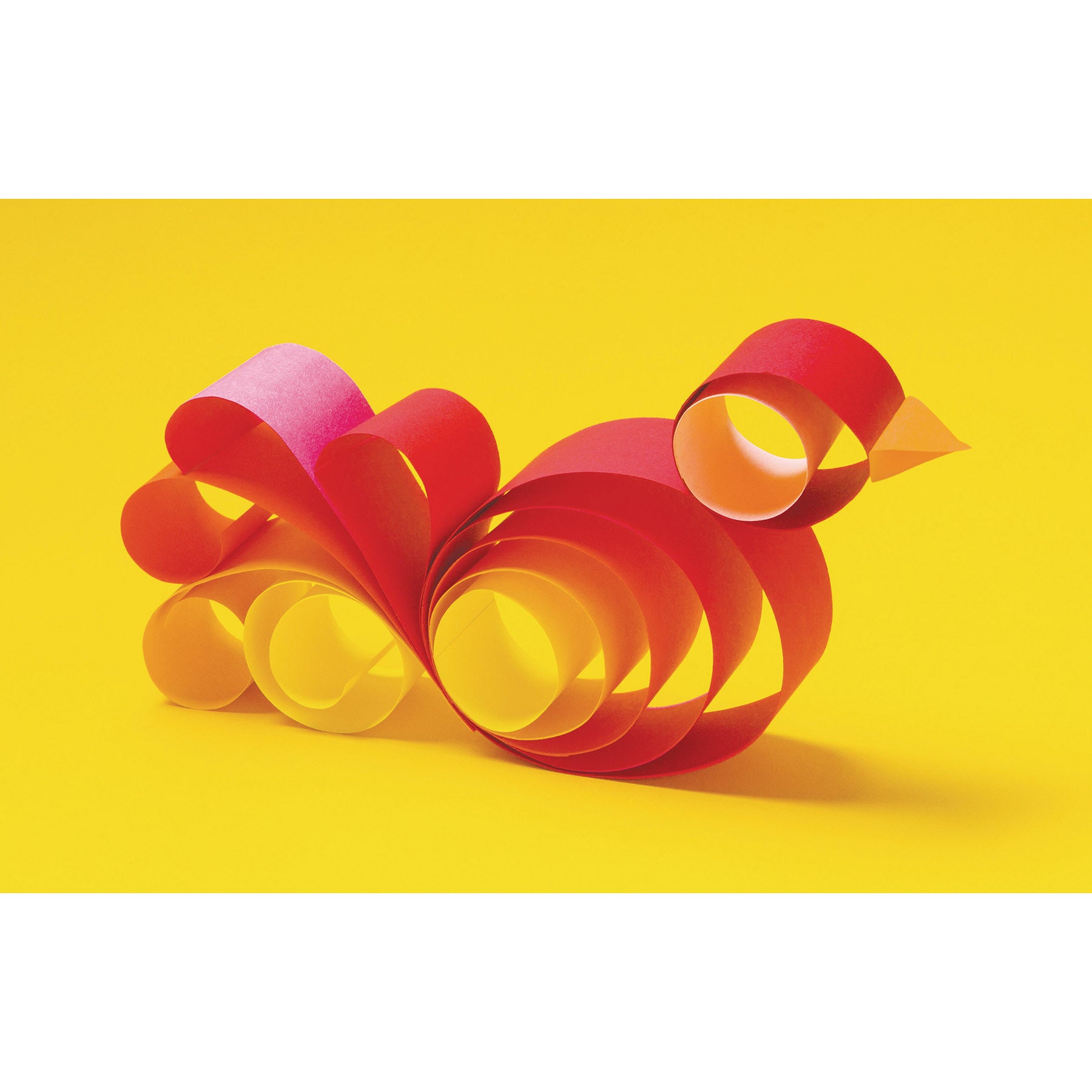 Construction Paper, Heavyweight, Warm Assorted, 12" x 18", 50 Sheets