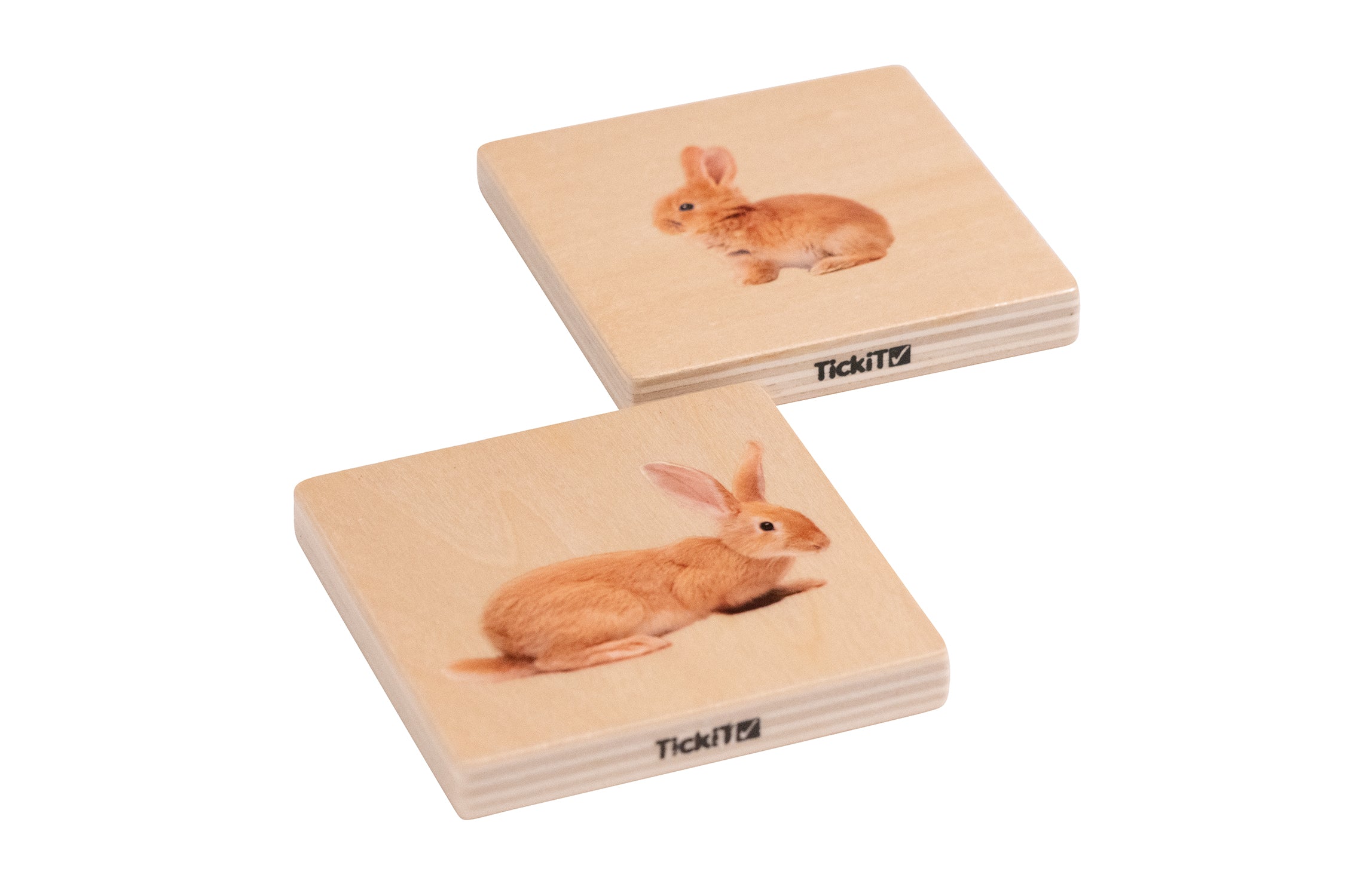 Domestic Animal Family Match - Set of 28