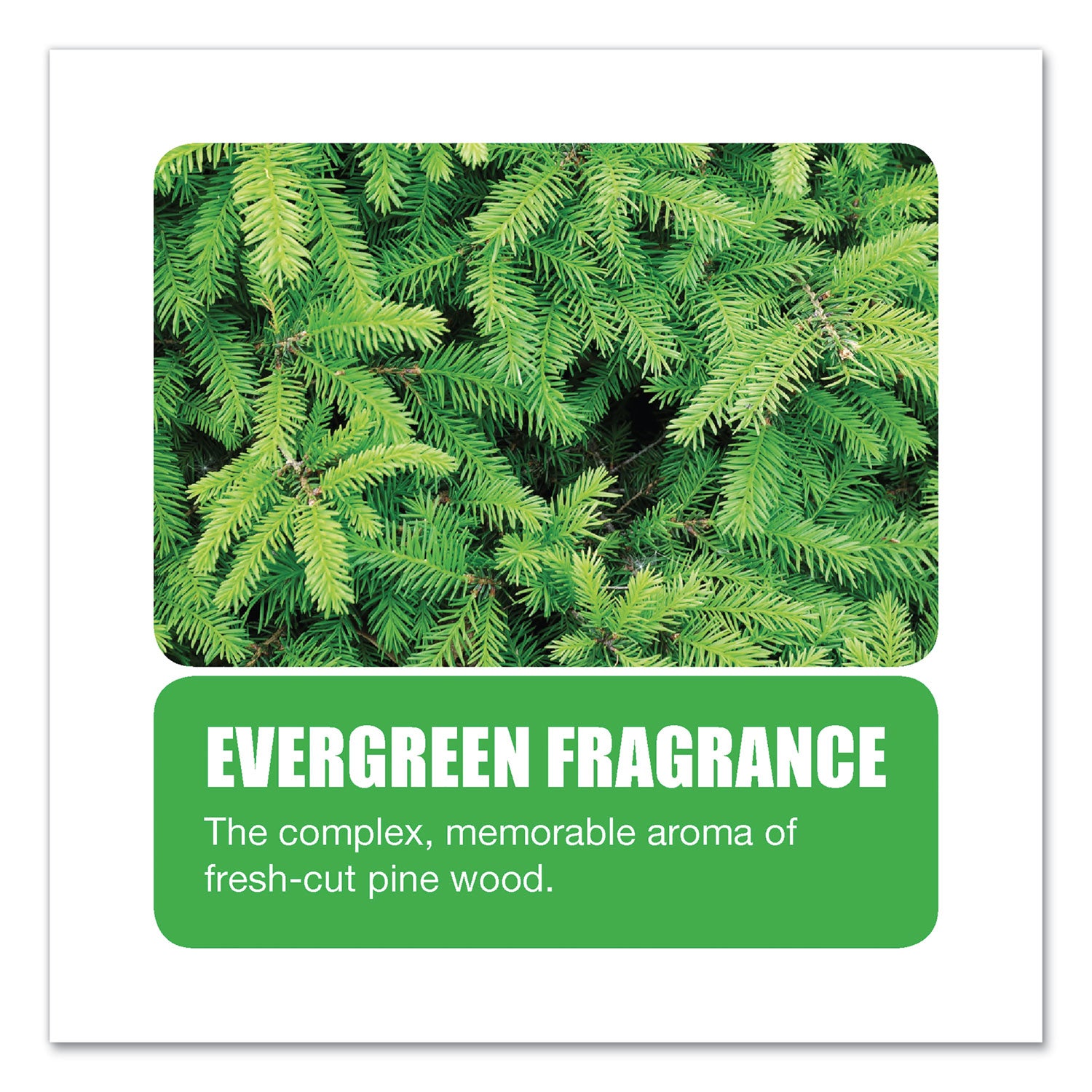 Extra Duty Urinal Screen With Non-Para Block, Evergreen With Enzymes Scent, White, Dozen