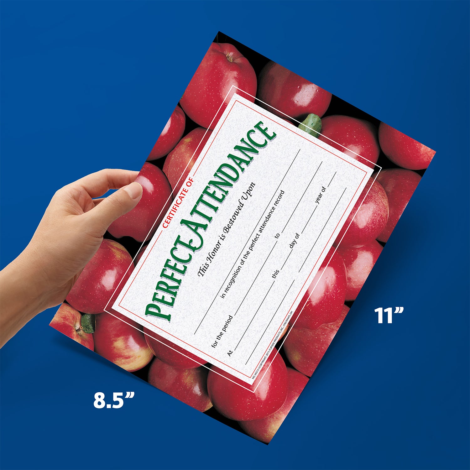 Certificate of Perfect Attendance, 8.5" x 11", Pack of 30