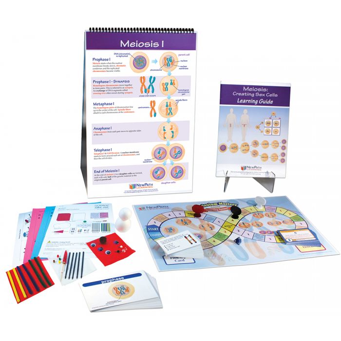 Meiosis Curriculum Learning Module - Grades 6 - 10