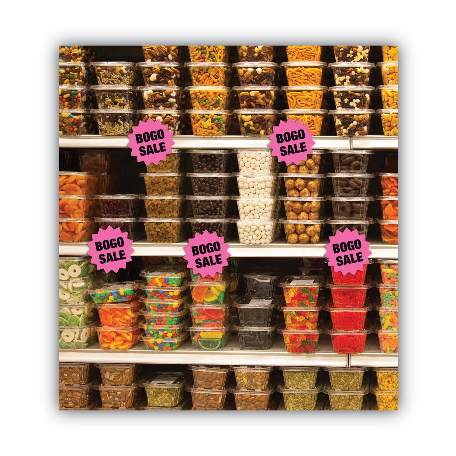 4" Width x 4" Height - Round Shape - Durable, Fluorescent, Die-cut - Information, Display - Card Stock - Fluorescent Pink, Fluorescent Light Orange, Fluorescent Orange, Fluorescent Green - 1 Each