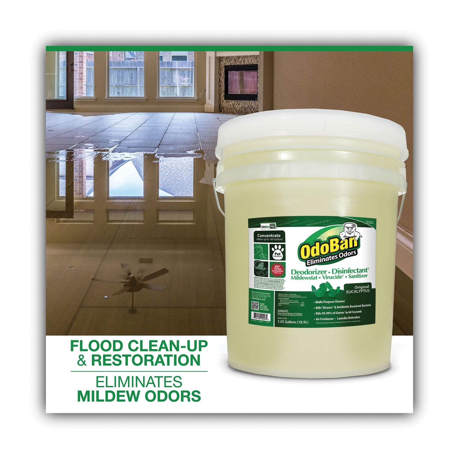Concentrated Odor Eliminator And Disinfectant, Eucalyptus, 5 Gal Pail