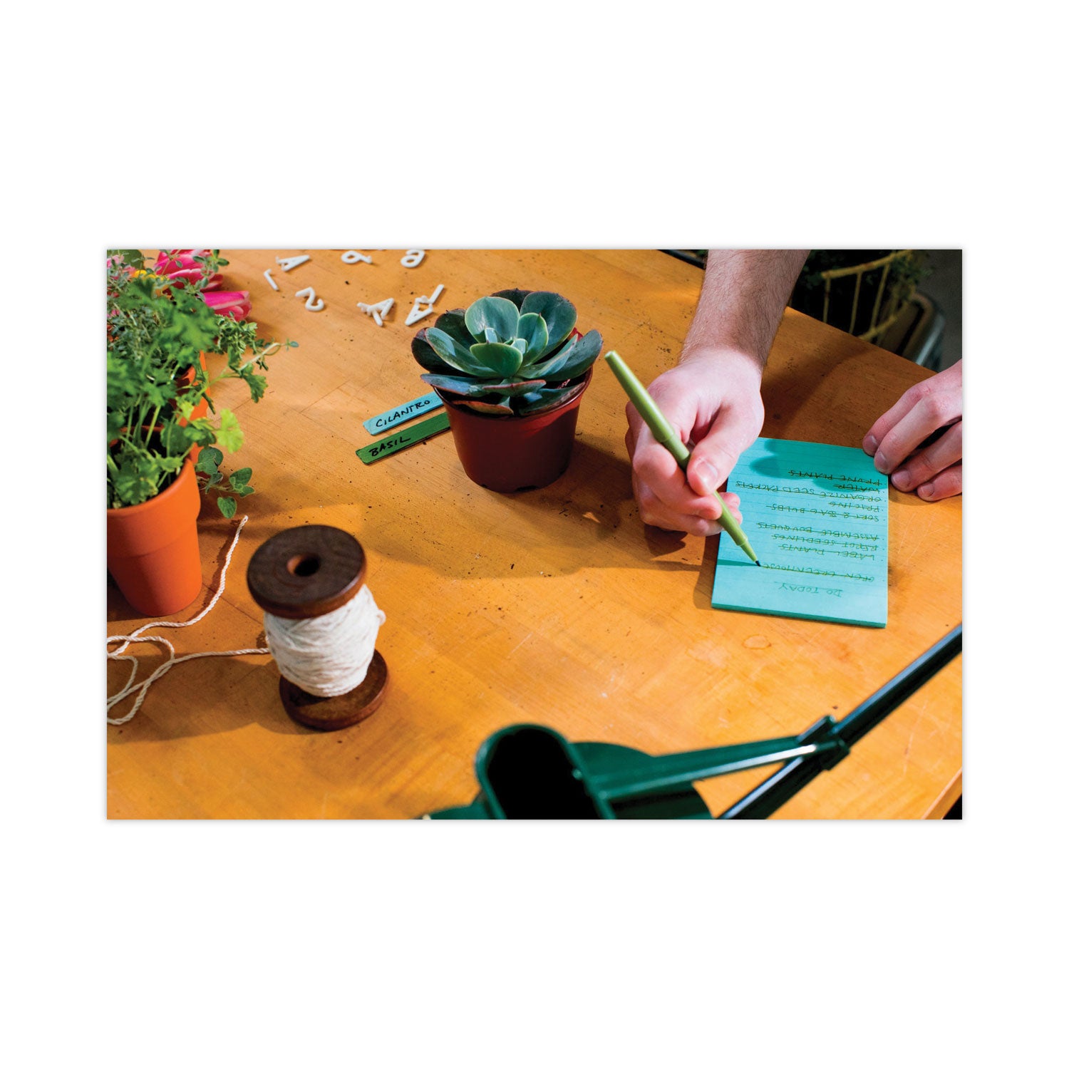 500 x Assorted Pastel - 4" Flag/Note Width x 6" Flag/Note Length - Rectangle - 100 Sheets per Pad - Ruled - Fresh Mint, Aqua Splash, Sunnyside, Papaya Fizz, Guava - Paper - Self-adhesive, Repositionable - 1 Pack