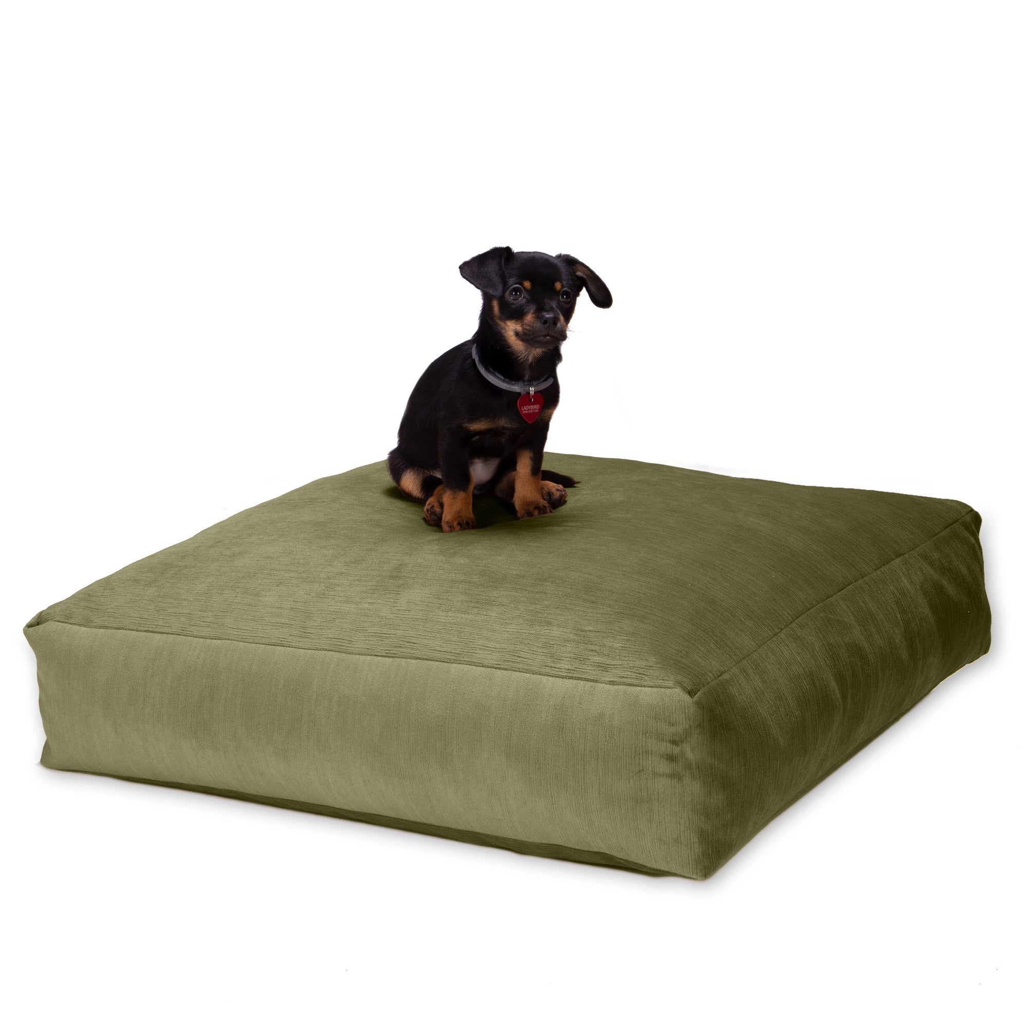 Jaxx Brio Large Décor Floor Pillow/Meditation Yoga Cushion, Plush Microvelvet, Moss