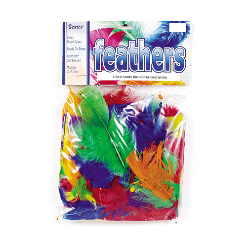 Decorative Feathers