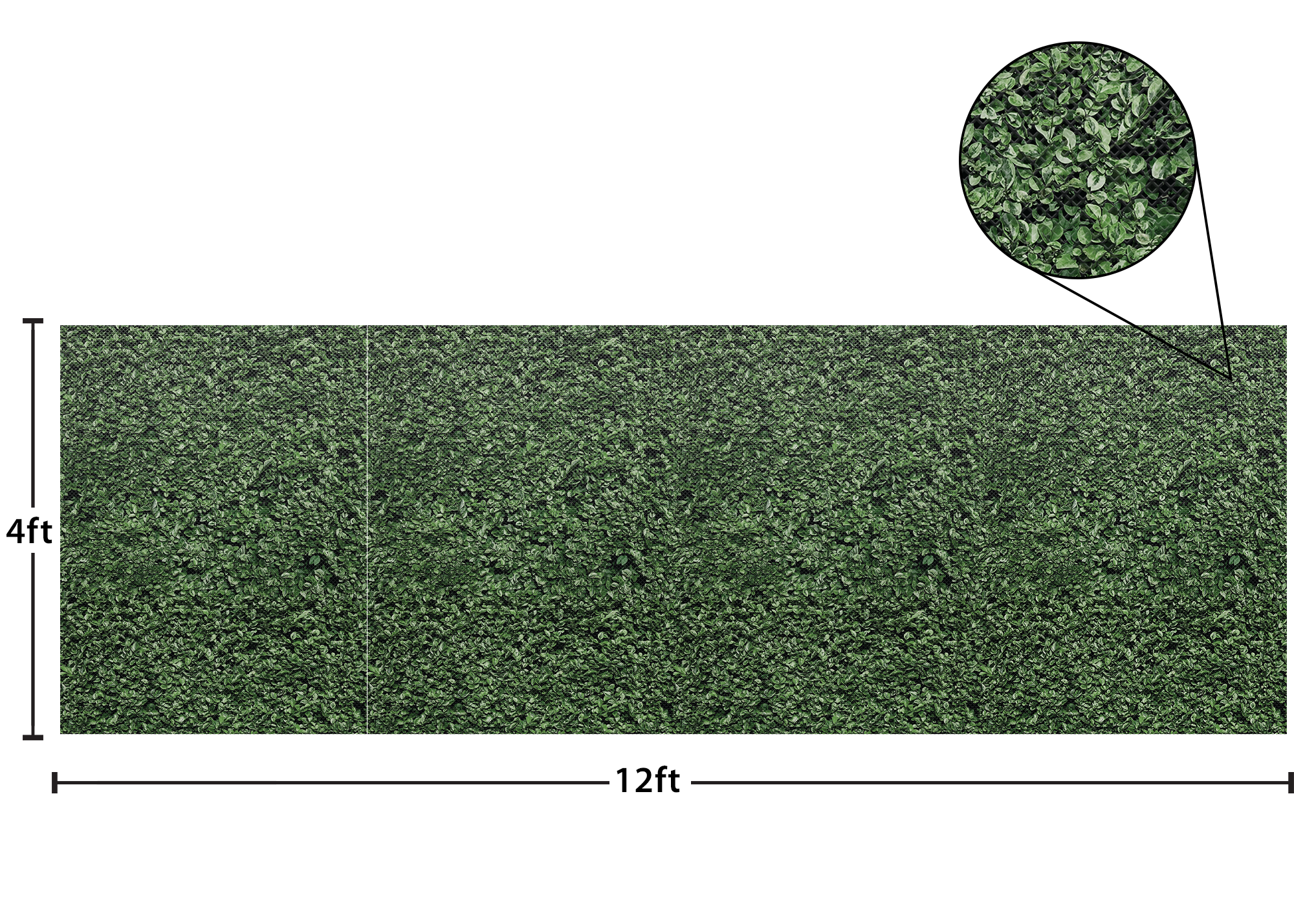 Boxwood Better Than Paper® Bulletin Board Roll