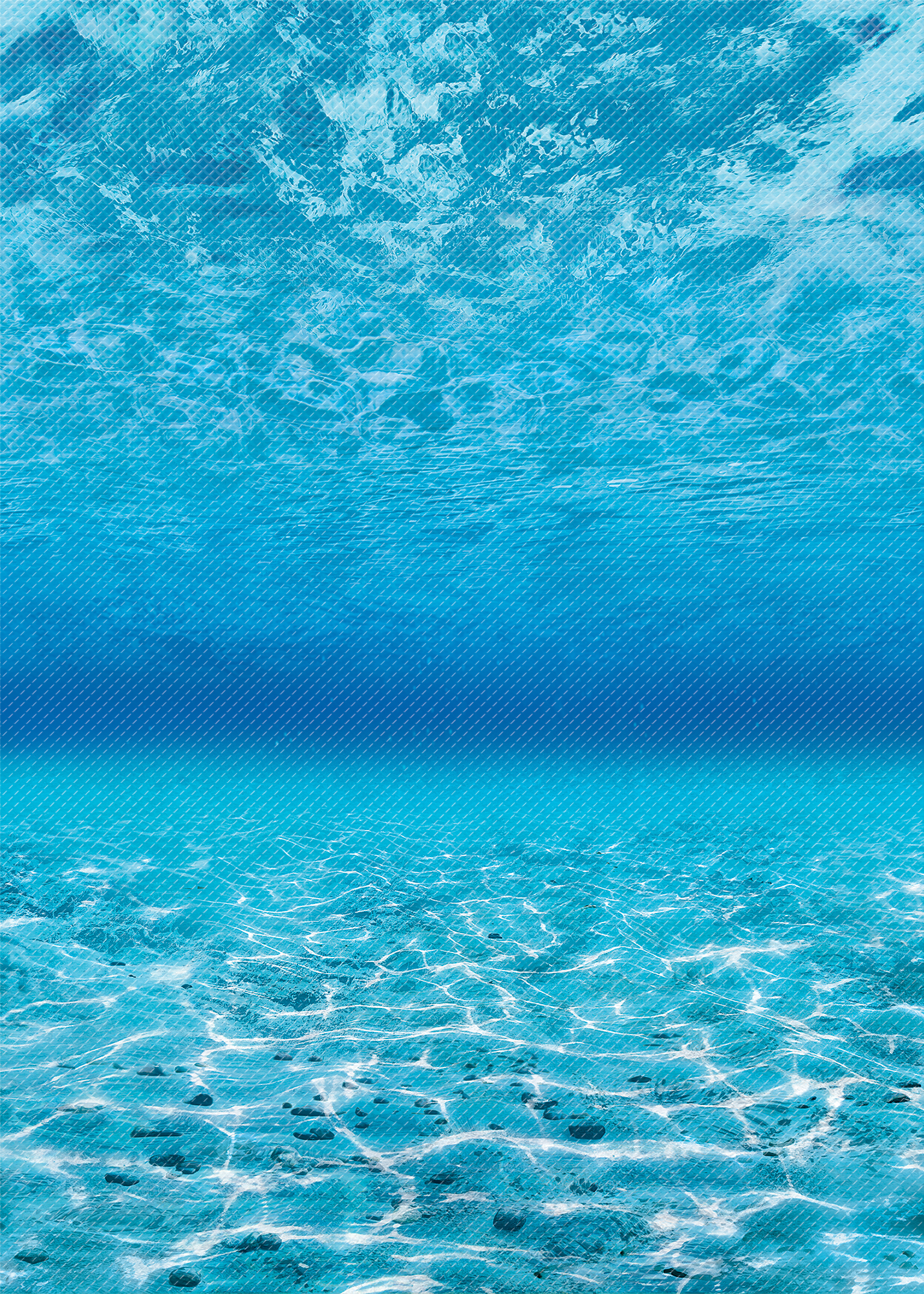 Under the Sea Better Than Paper® Bulletin Board Roll