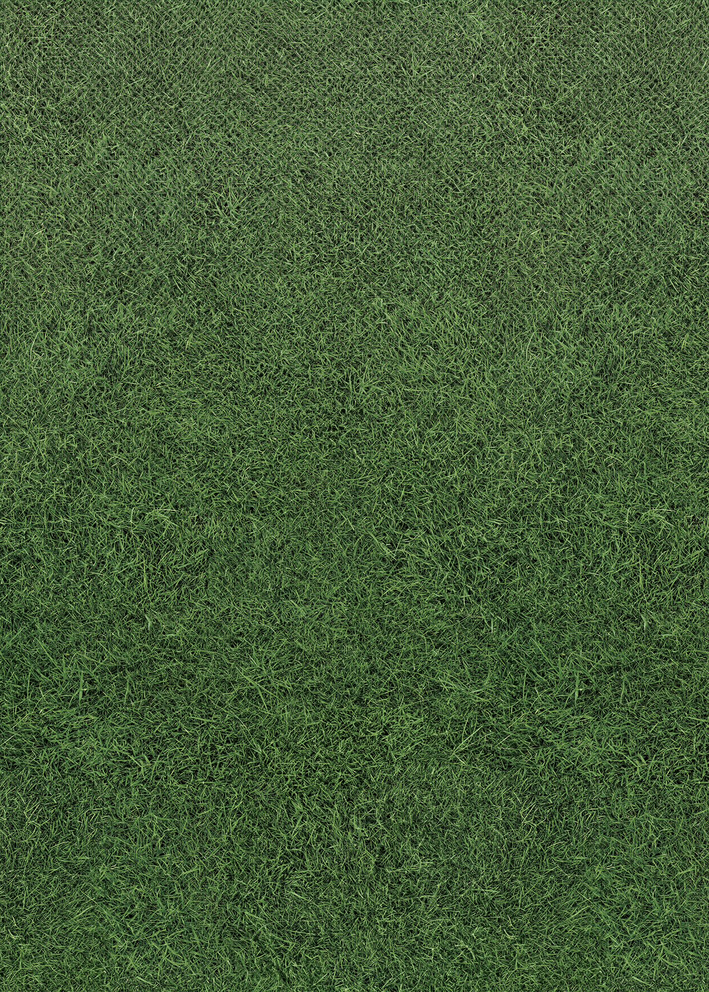 Grass Better Than Paper® Bulletin Board Roll