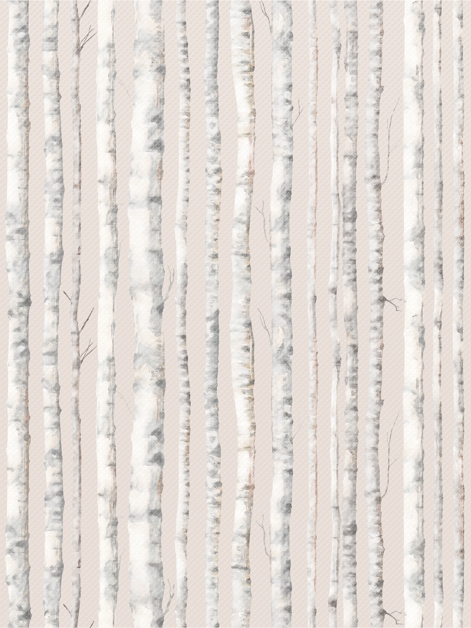 Birch Trees Better Than Paper® Bulletin Board Roll