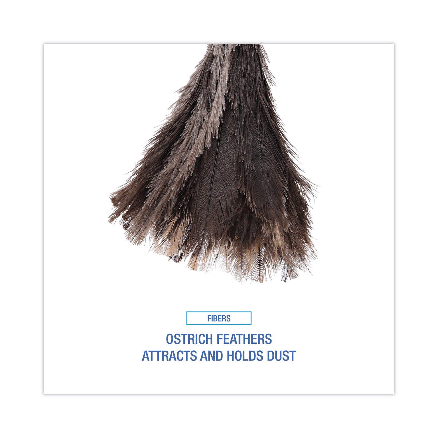 Professional Ostrich Feather Duster, 13" Wood Handle