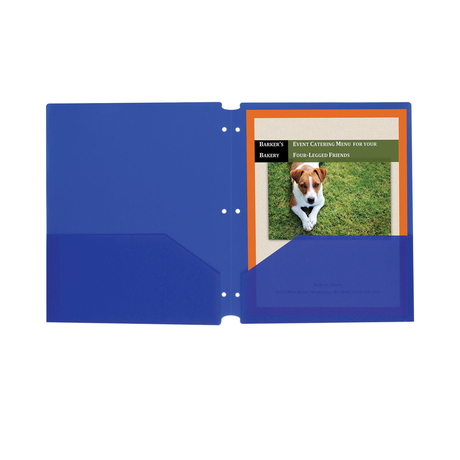 Two-Pocket Poly Portfolios with Three-Hole Punch, Blue, Box of 25