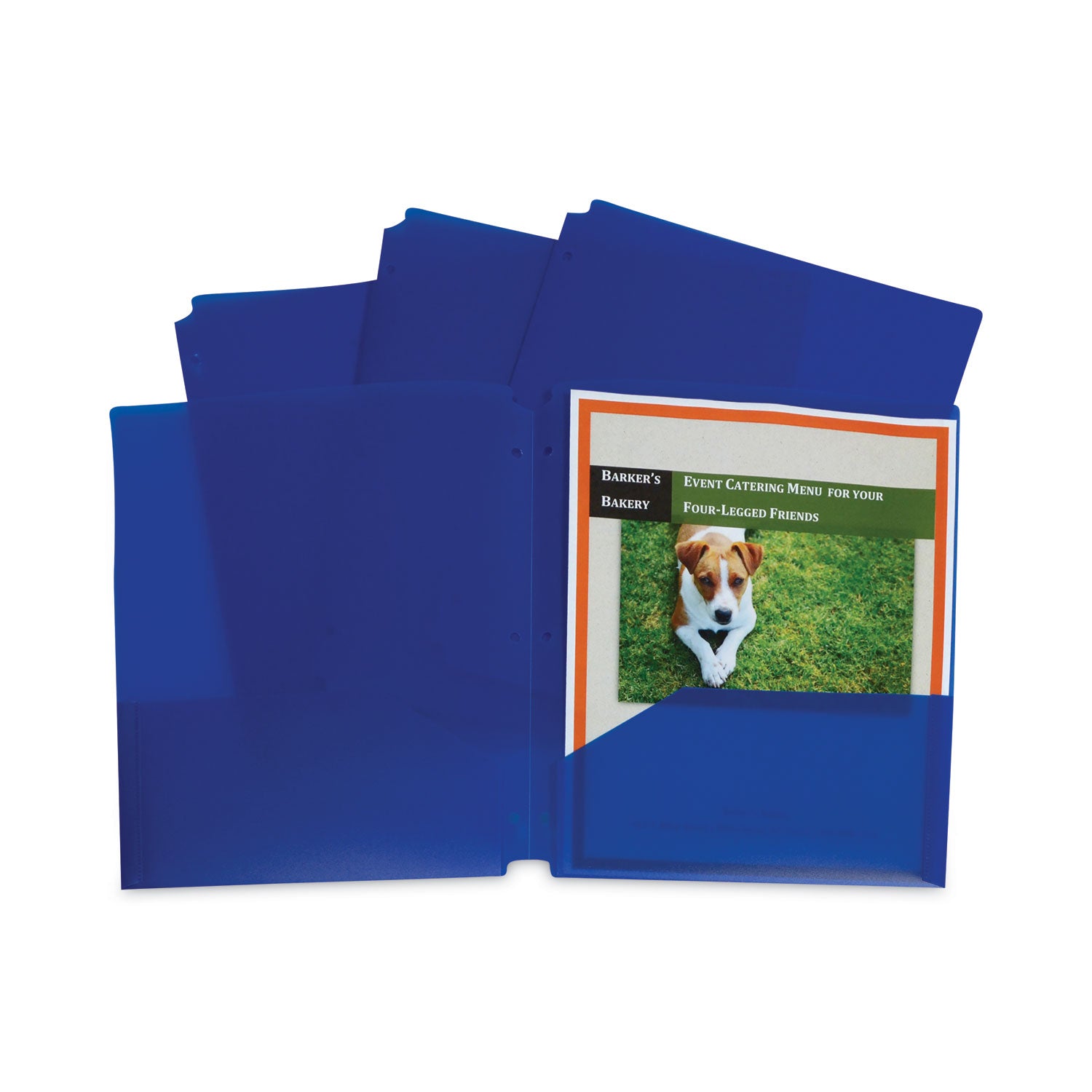 Two-Pocket Poly Portfolios with Three-Hole Punch, Blue, Box of 25