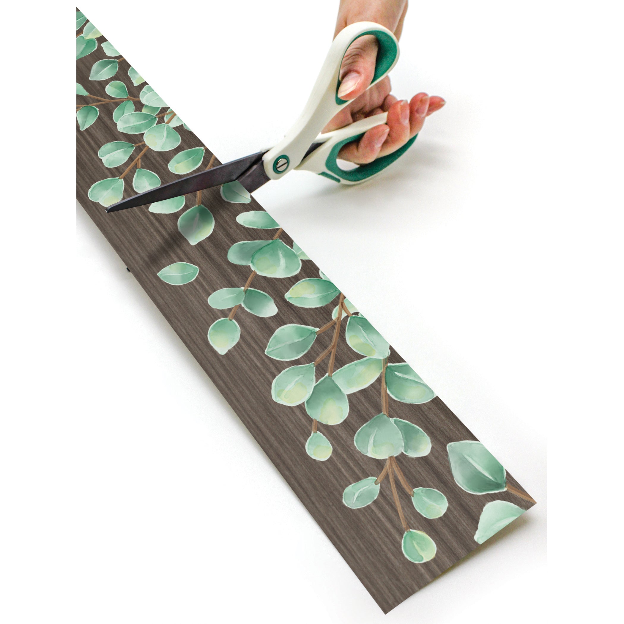 Eucalyptus Straight Rolled Border Trim, 50 Feet