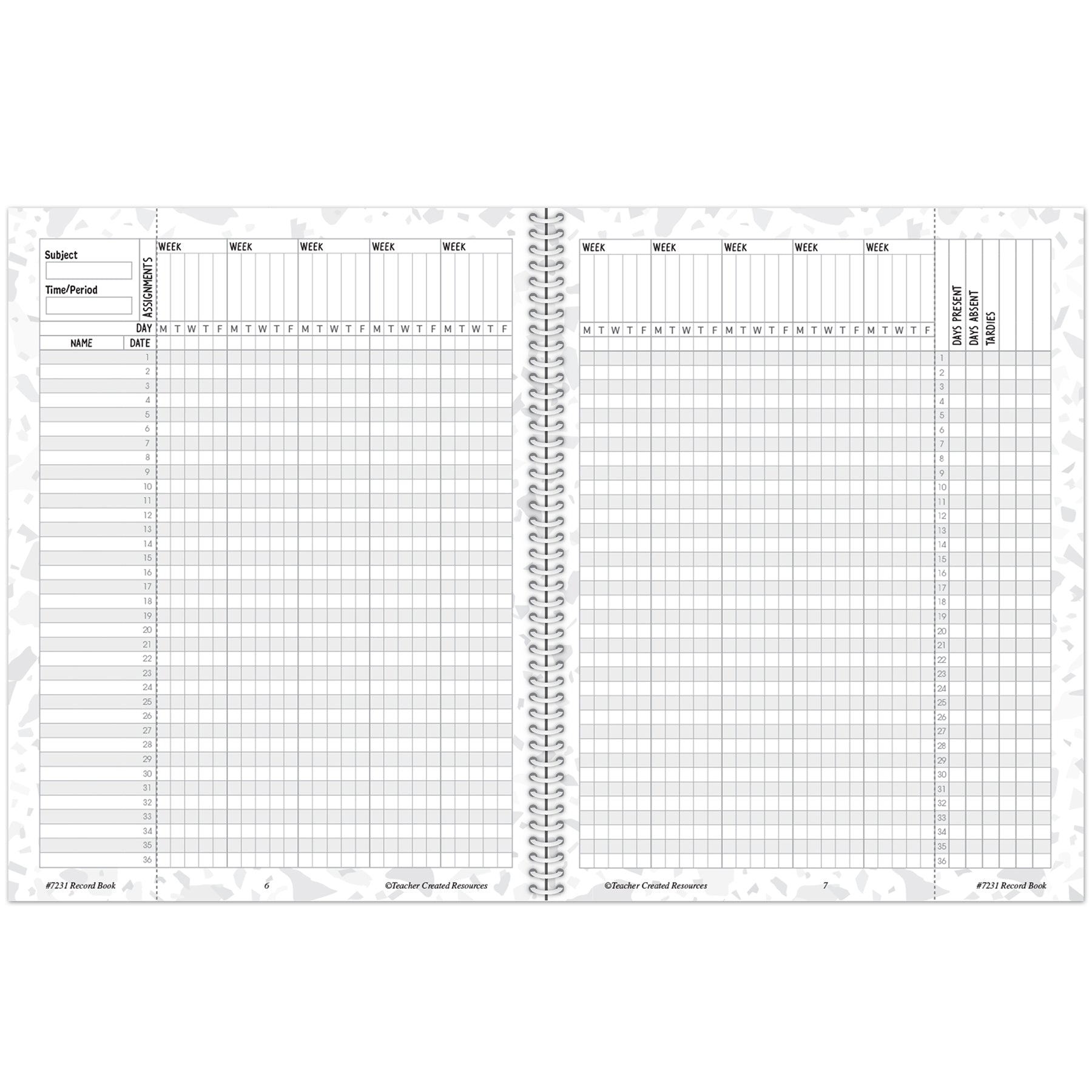 Terrazzo Tones Record Book