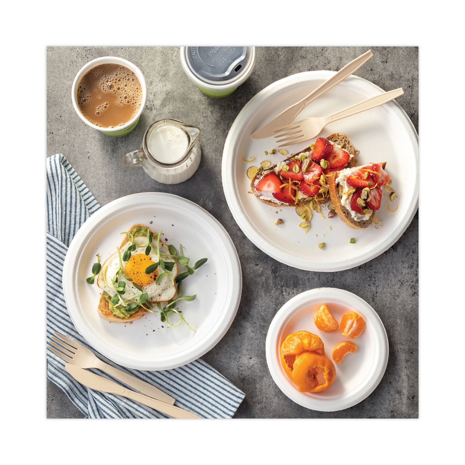 EarthChoice Compostable Fiber-Blend Bagasse Dinnerware, Plate, Sugarcane, 6" dia, Natural, 1,000/Carton