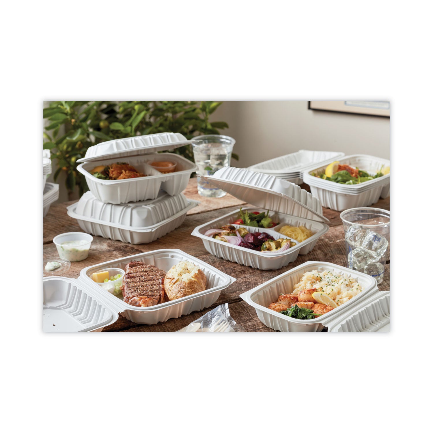 EarthChoice Vented Microwavable MFPP Hinged Lid Container, 3 Compartments, 8.5 x 8.5 x 3.1, White, Plastic, 146/Carton