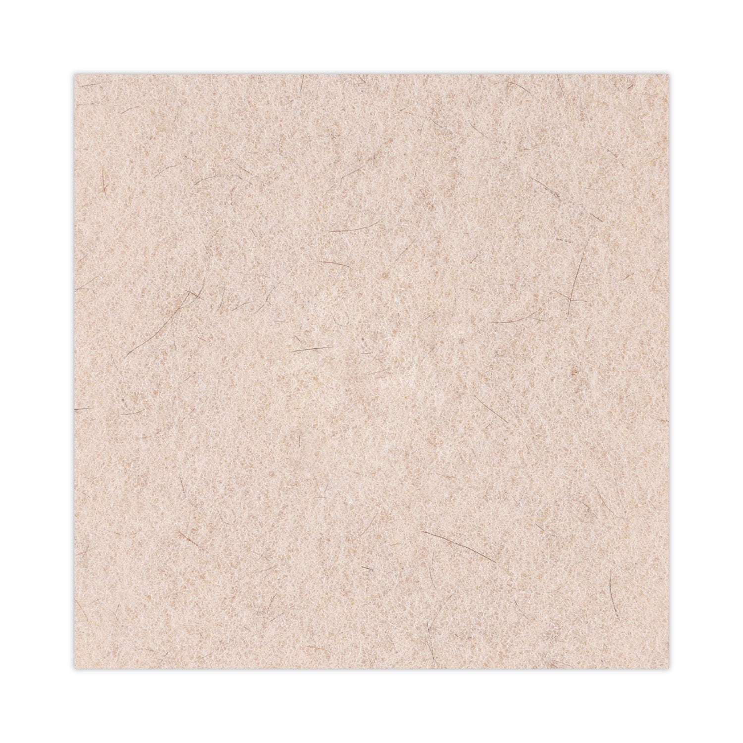 Natural Hog Hair Burnishing Floor Pads, 20" Diameter, Tan, 5/carton