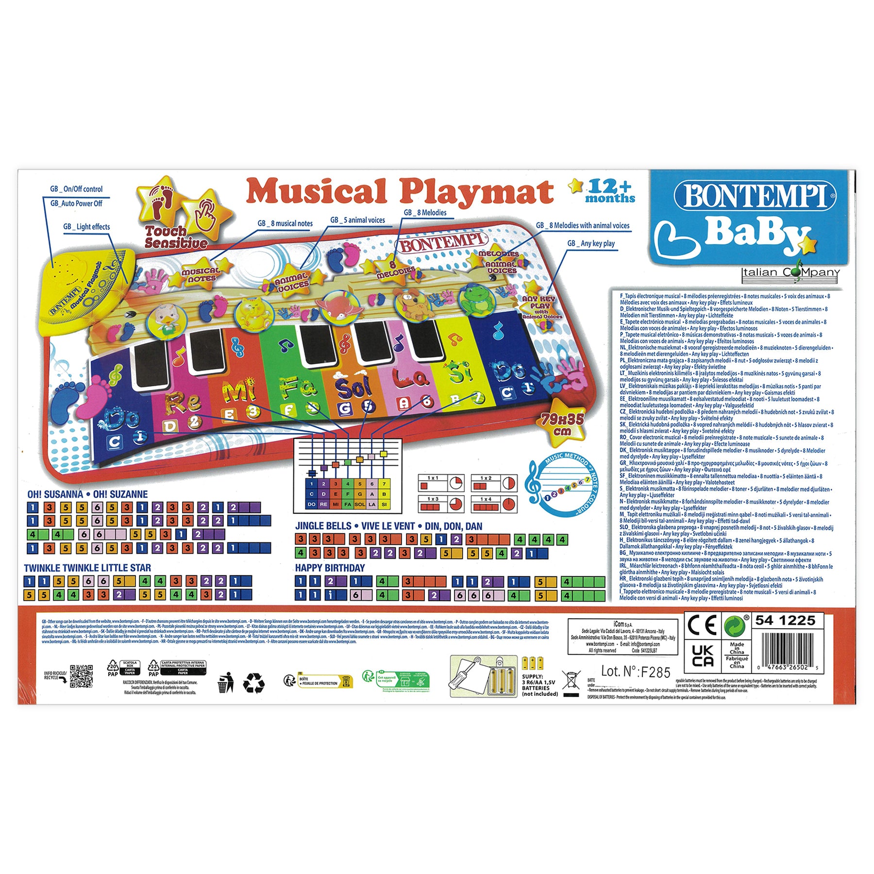 Baby Musical Play Mat