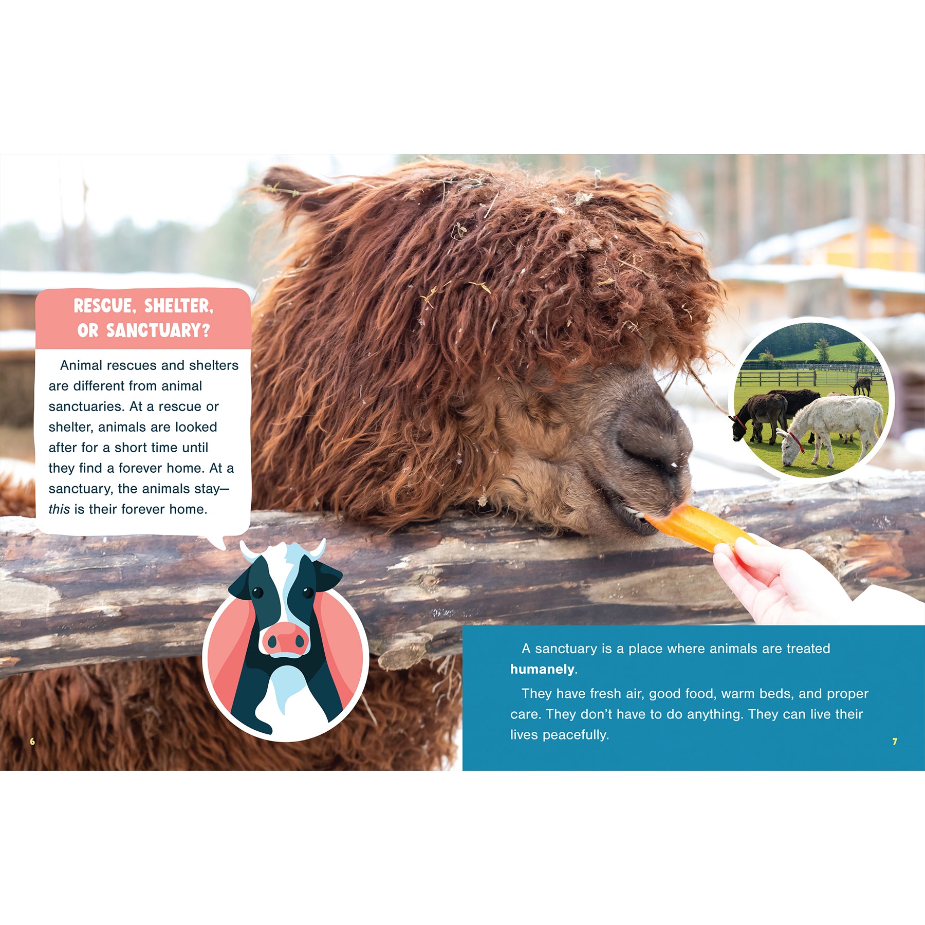 Farm Animal Sanctuaries