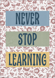 Never Stop Learning Positive Poster