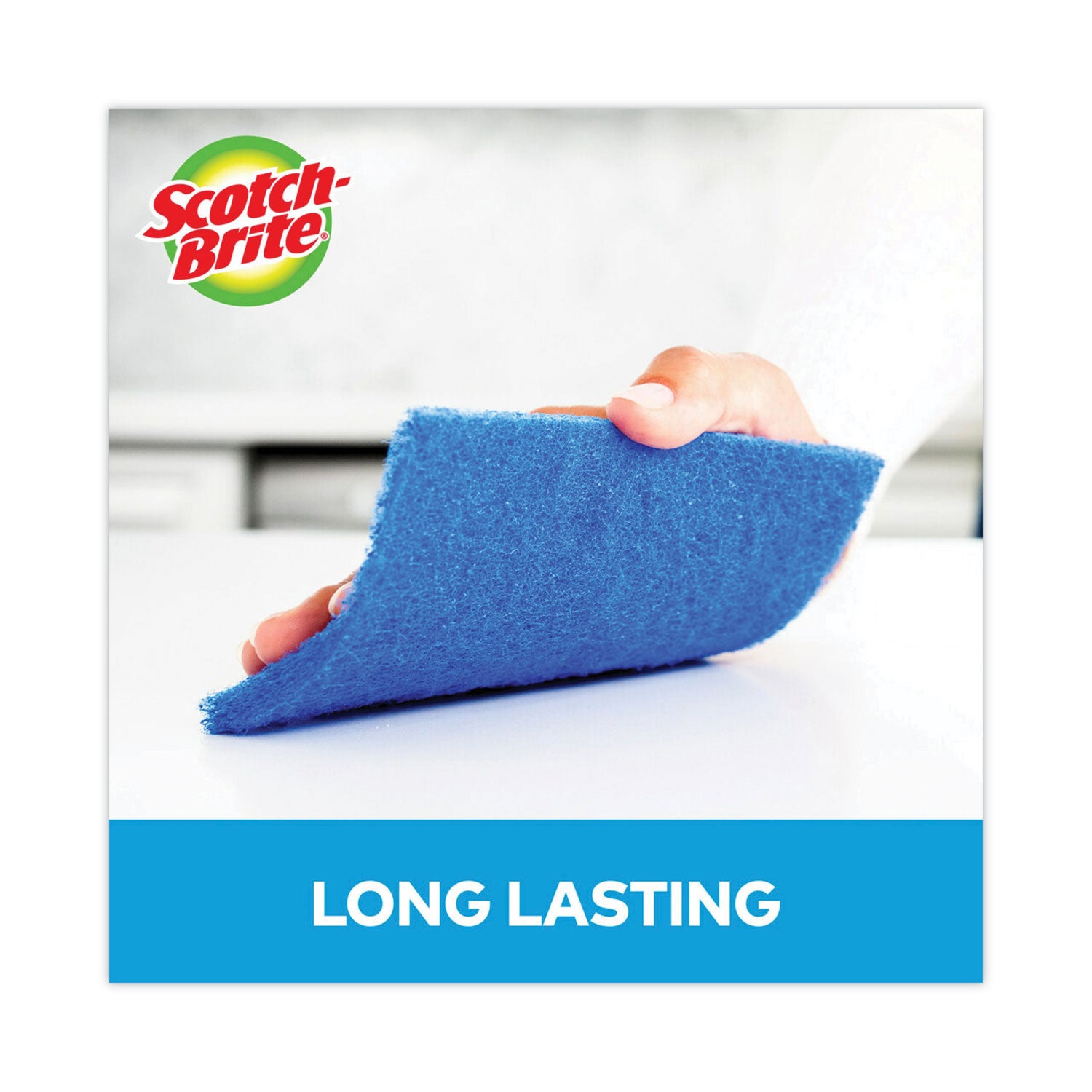 Non-Scratch Scour Pads, Size 3 X 6, Blue, 10/carton