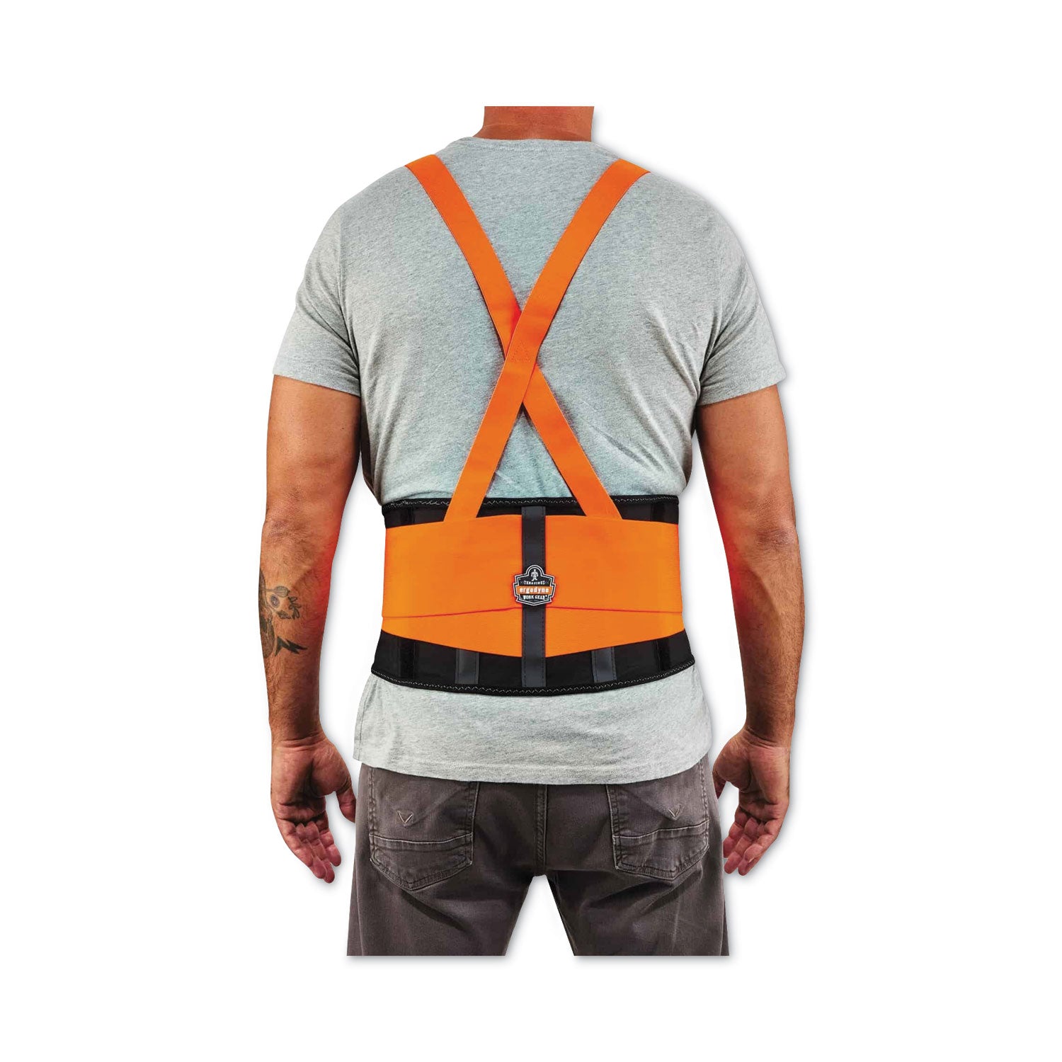Ergodyne ProFlex 100HV Economy Hi-Vis Back Brace - 46" to 52" Waist Size - Orange - Rubber, Polypropylene, Spandex - 1 Each