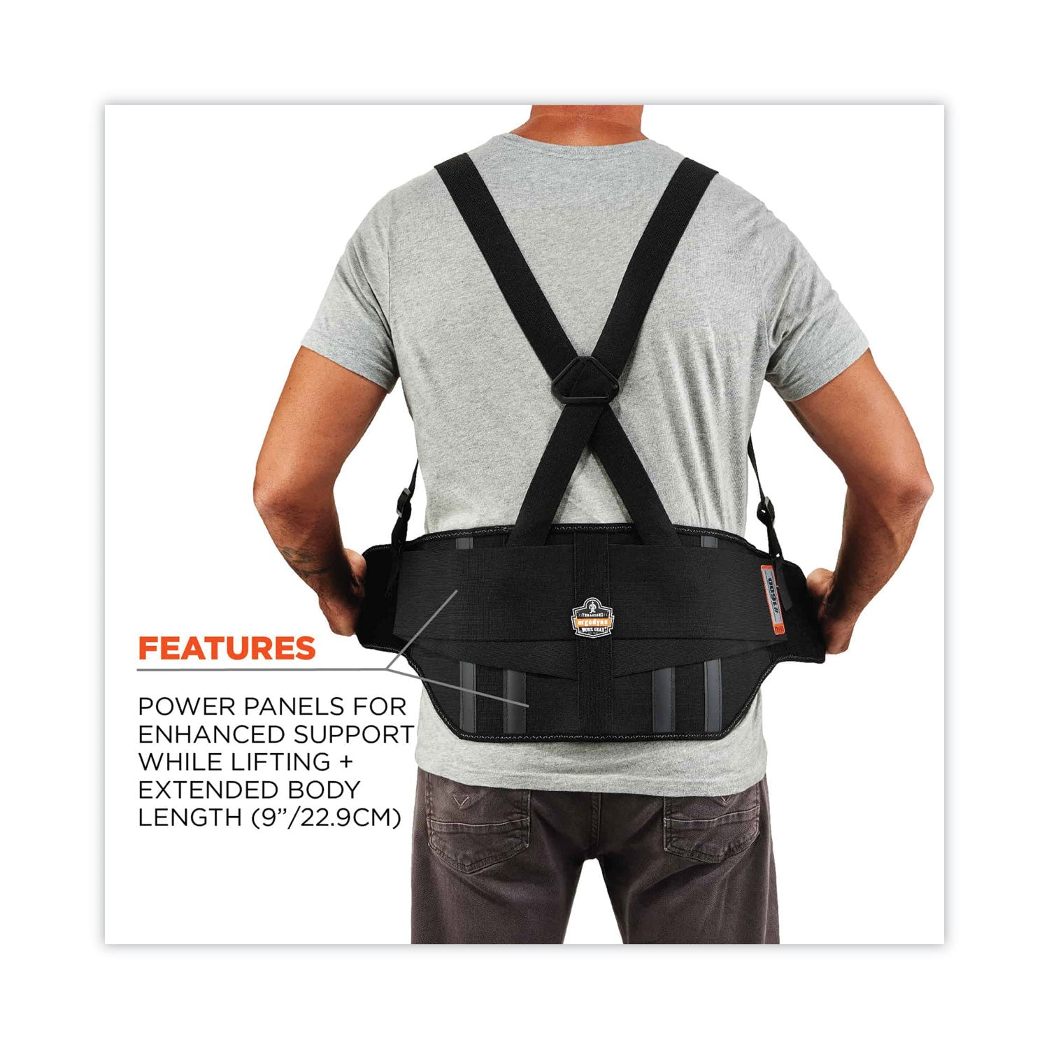 Ergodyne ProFlex 1600 Standard Back Support Brace - 38" to 42" Waist Size - Black - Elastic, Polypropylene, Rubber - 1 Each