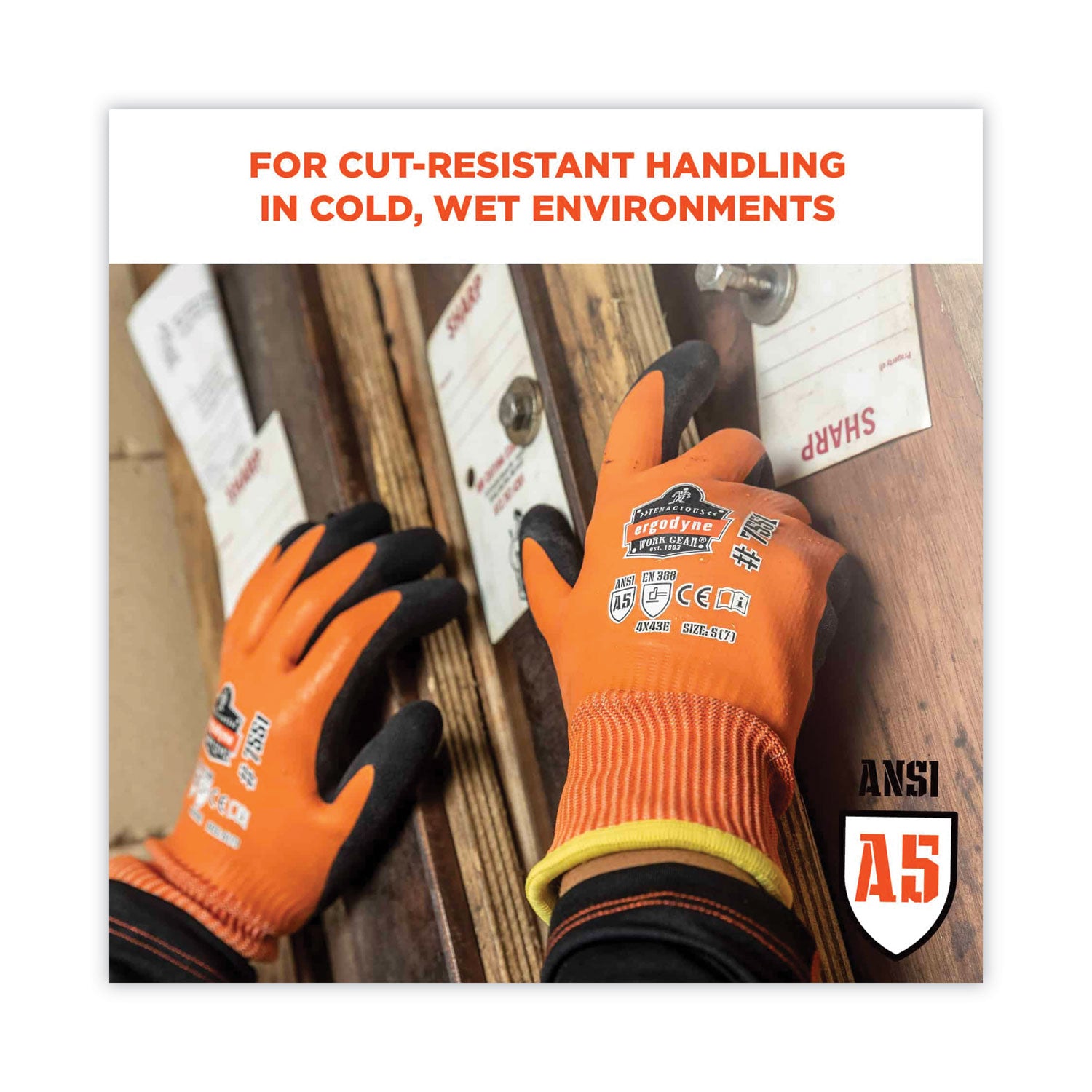 Ergodyne ProFlex 7551 A5 Coated Waterproof Gloves, Large, Orange, Nitrile & Latex Coating, Cut/Water/Cold/Puncture/Abrasion/Slash Resistant, Superior Grip, Machine Washable, 2 Pairs, 12 Carton