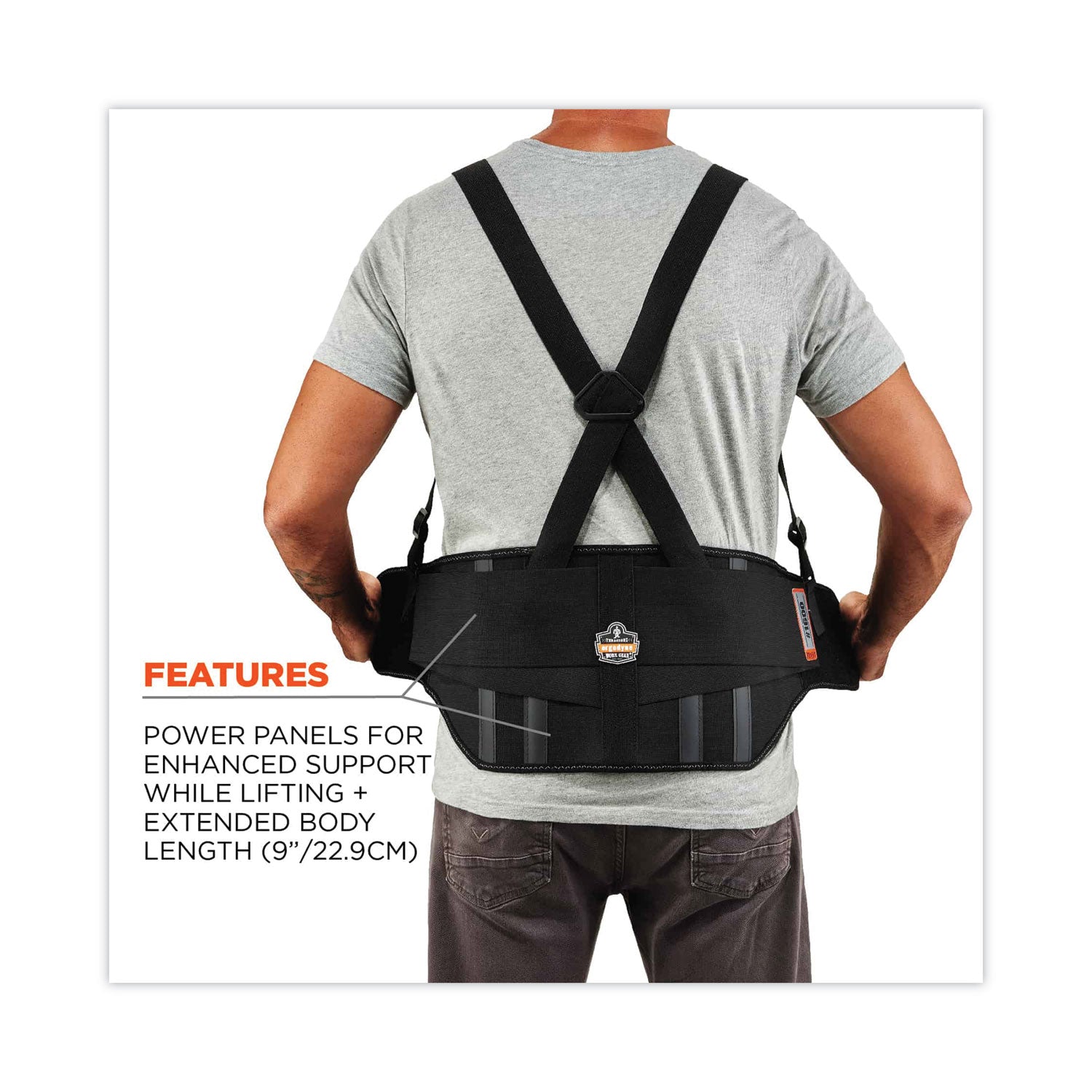 Ergodyne ProFlex 1600 Standard Back Support Brace - 25" to 30" Waist Size - Black - Polypropylene, Elastic, Rubber - 1 Each