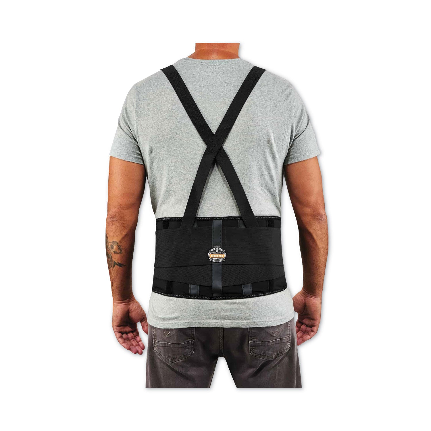 Ergodyne ProFlex 100 Economy Back Support Brace - 25" to 30" Waist Size - Black - 280D Spandex, Rubber, Polypropylene - 1 Each