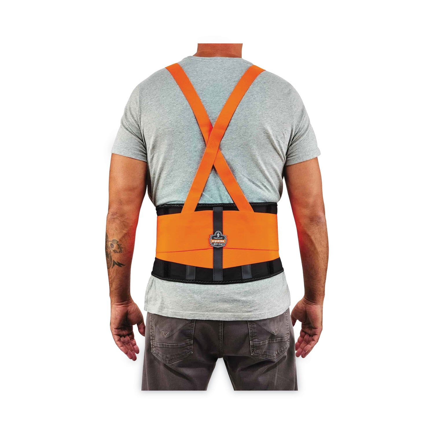 Ergodyne ProFlex 100HV Economy Hi-Vis Back Brace - 42" to 46" Waist Size - Orange - Rubber, Polypropylene, Spandex - 1 Each