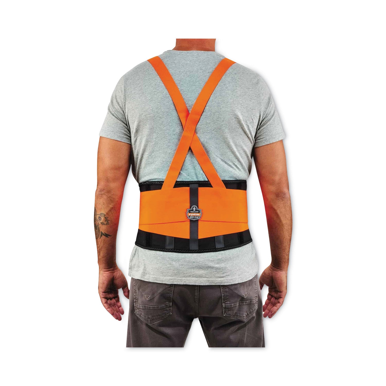 Ergodyne ProFlex 100HV Economy Hi-Vis Back Brace - 30" to 34" Waist Size - Orange - Spandex, Rubber, Polypropylene - 1 Each