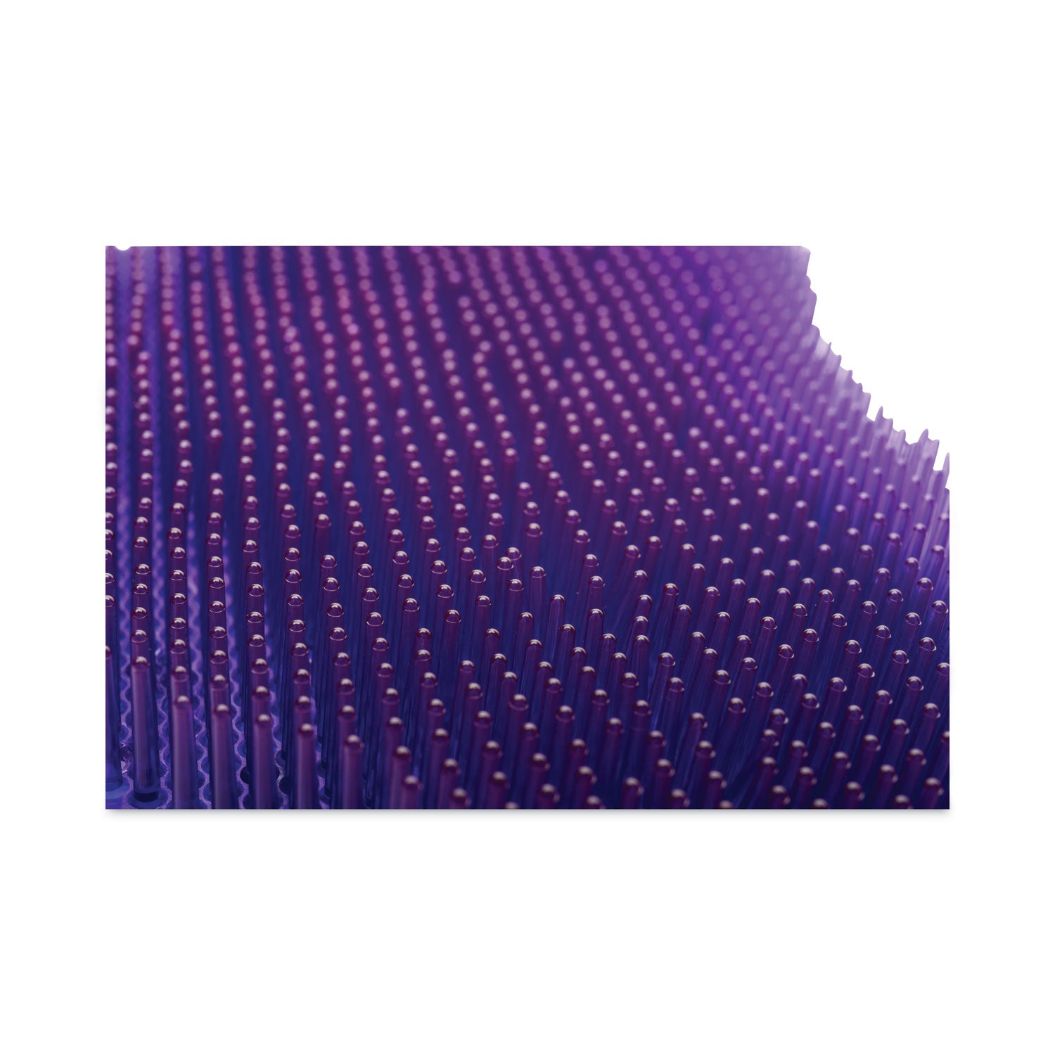 Diversey ekcoscreen Anti-splash Urinal Screen - Lasts upto 60 Days - Anti-splash, Odor Neutralizer, Anti-bacterial, Flexible, Recyclable, Biodegradeable - 12 / Carton - Purple
