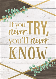 If You Never Try, You’ll Never Know Positive Poster