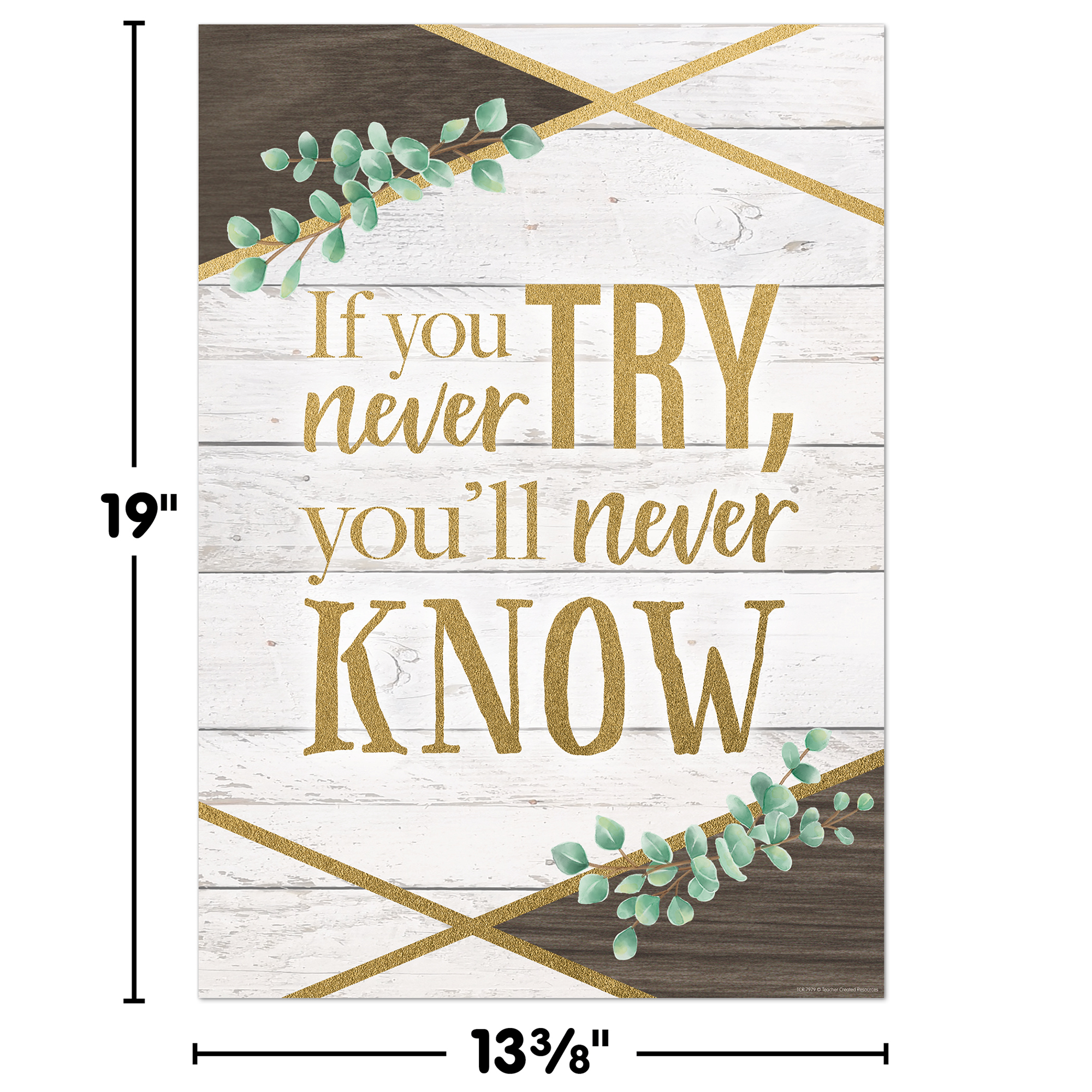 If You Never Try, You’ll Never Know Positive Poster