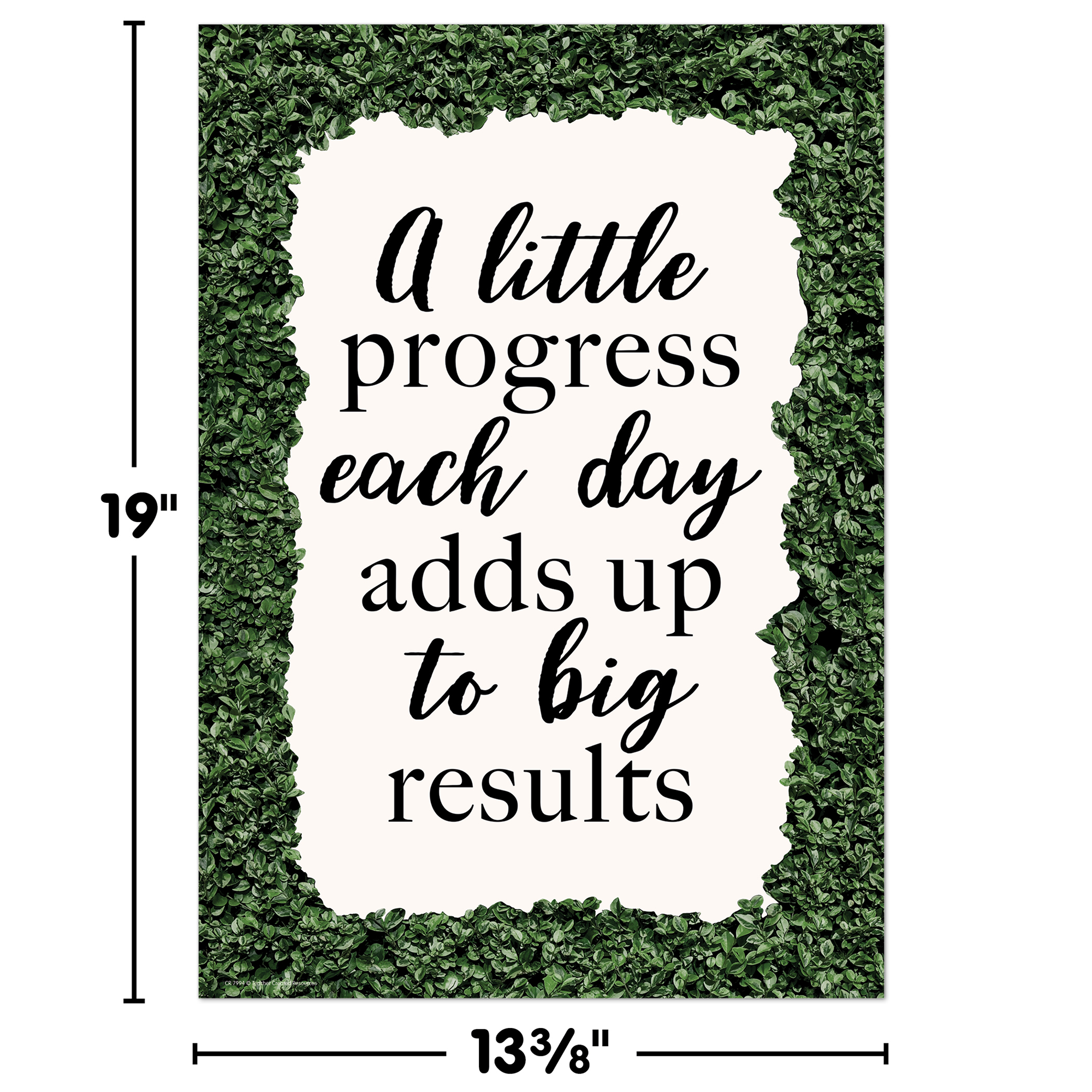A Little Progress Each Day Adds up to Big Results Positive Poster
