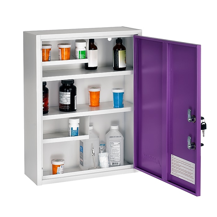 21 in. H x 16 in. W x 6 in. D Large Dual Lock Surface-Mount Medical Security Cabinet in Purple