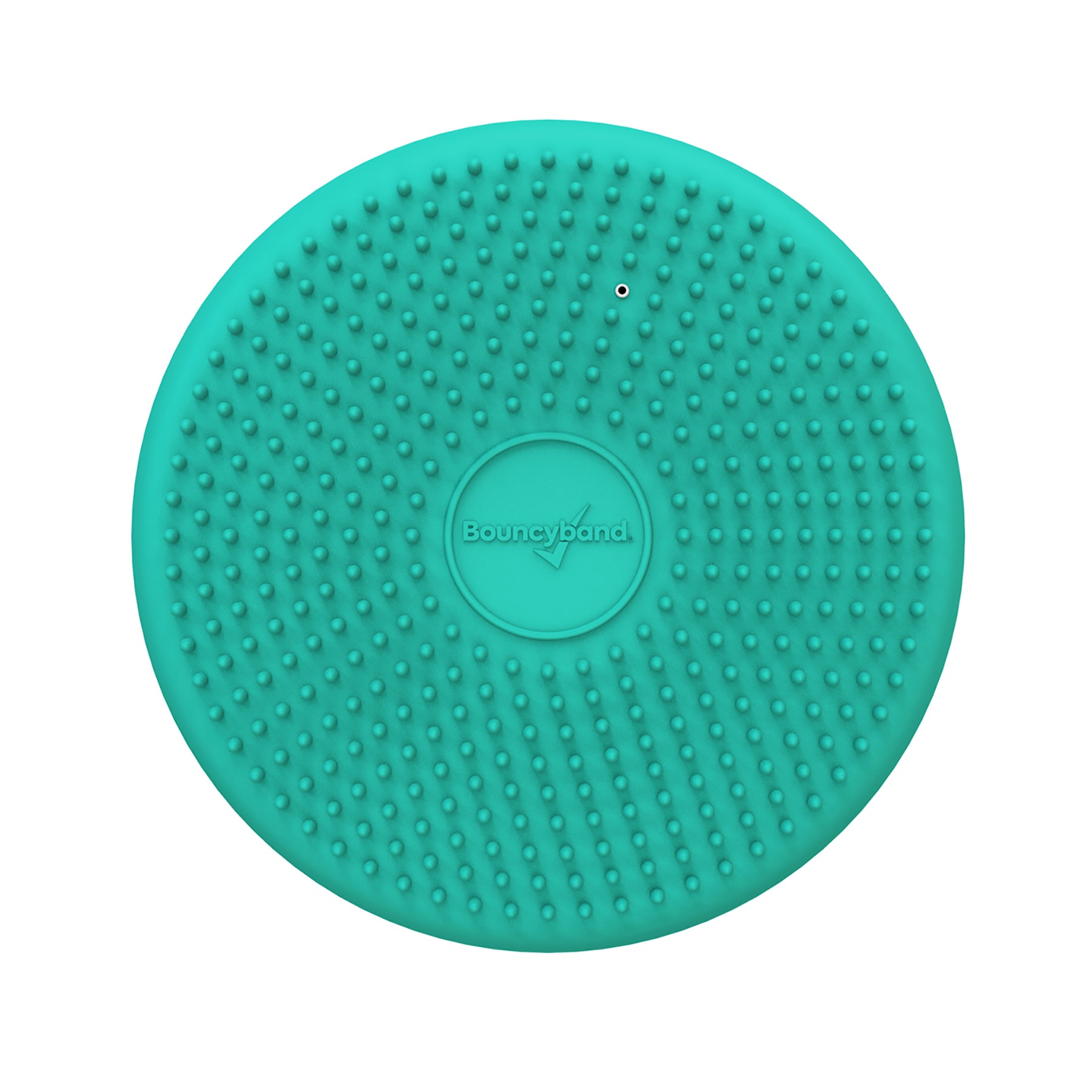 Little Wiggle Seat Sensory Cushion, Mint