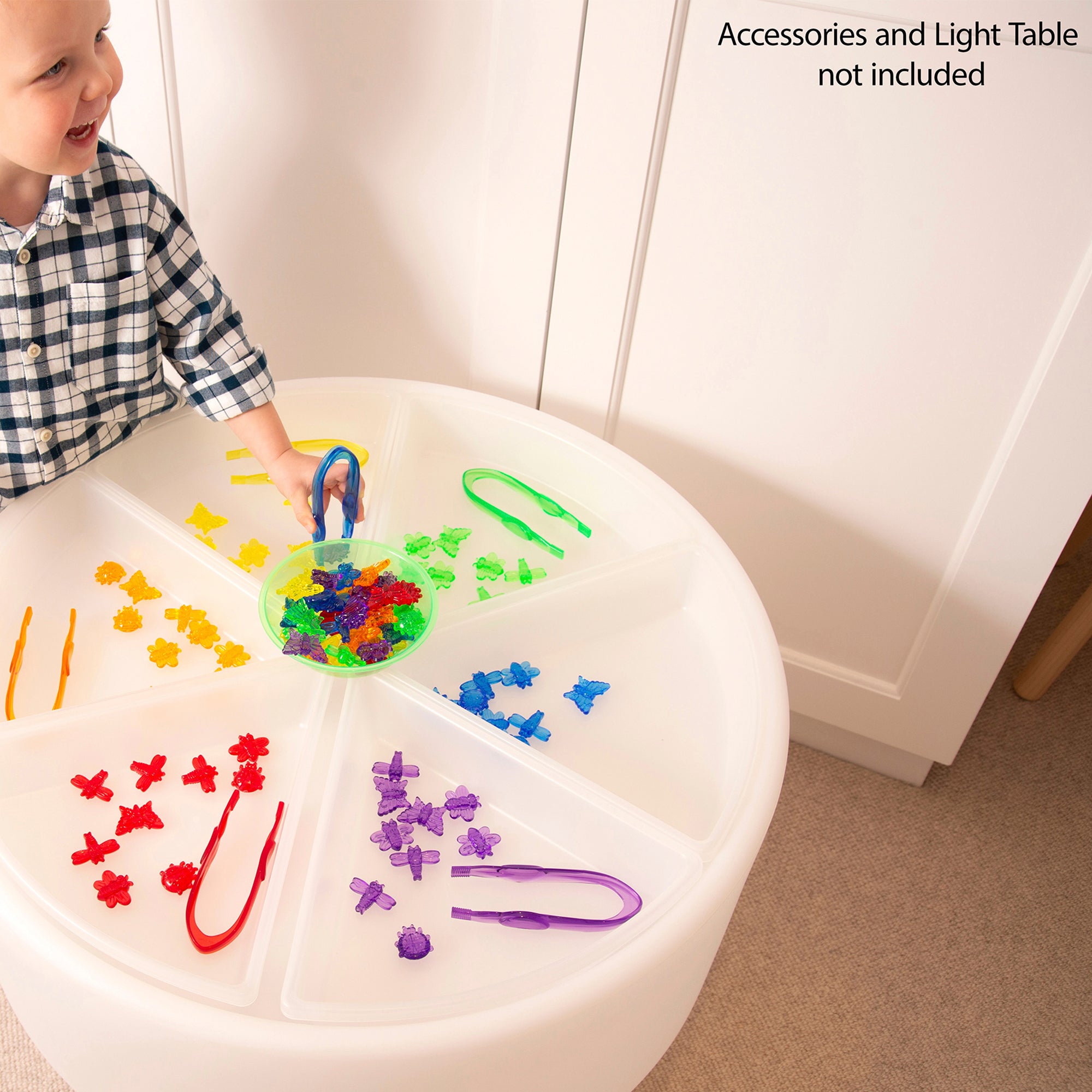 Discovery Trays - Set of 6