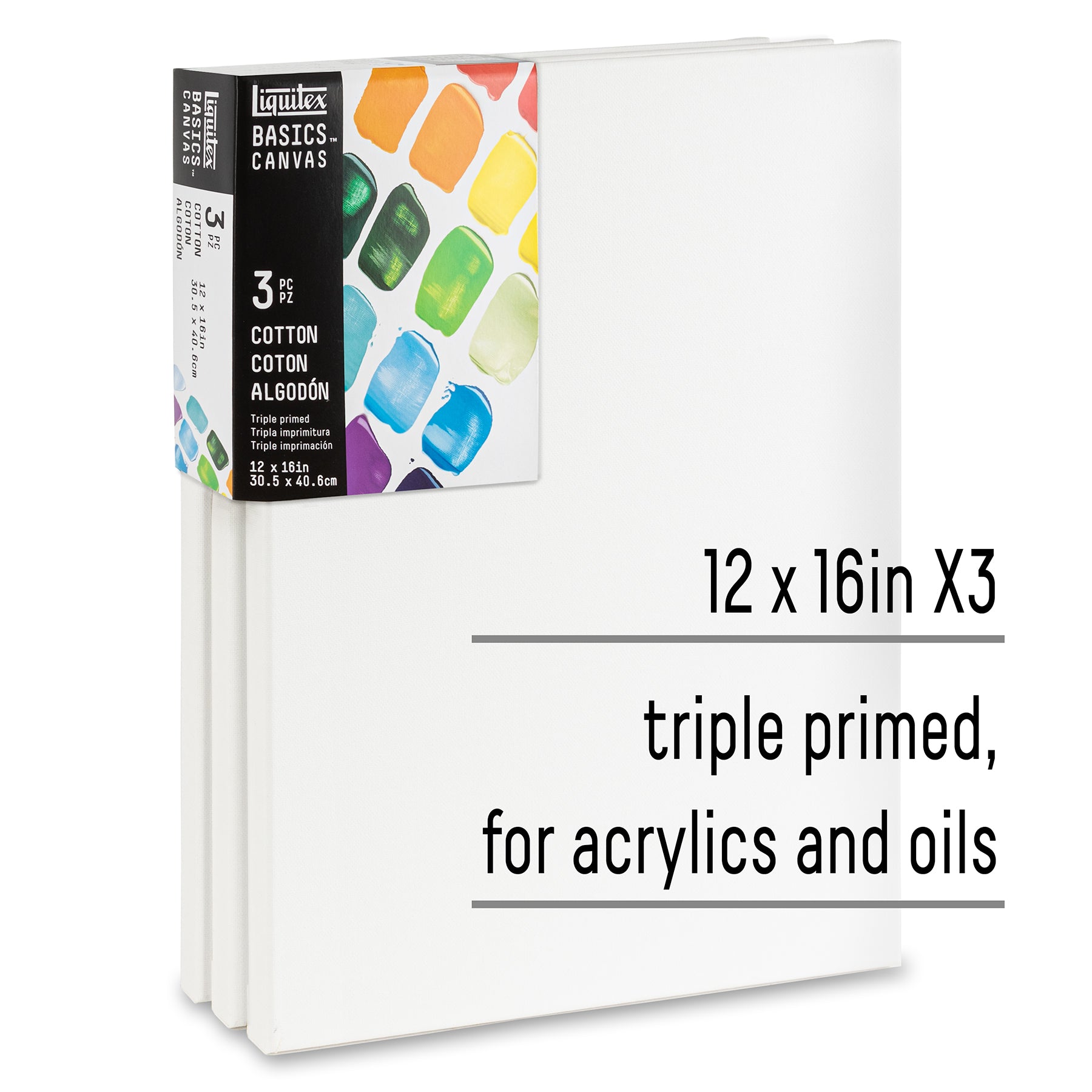 BASICS Canvas 3 pack - 12" x 16"