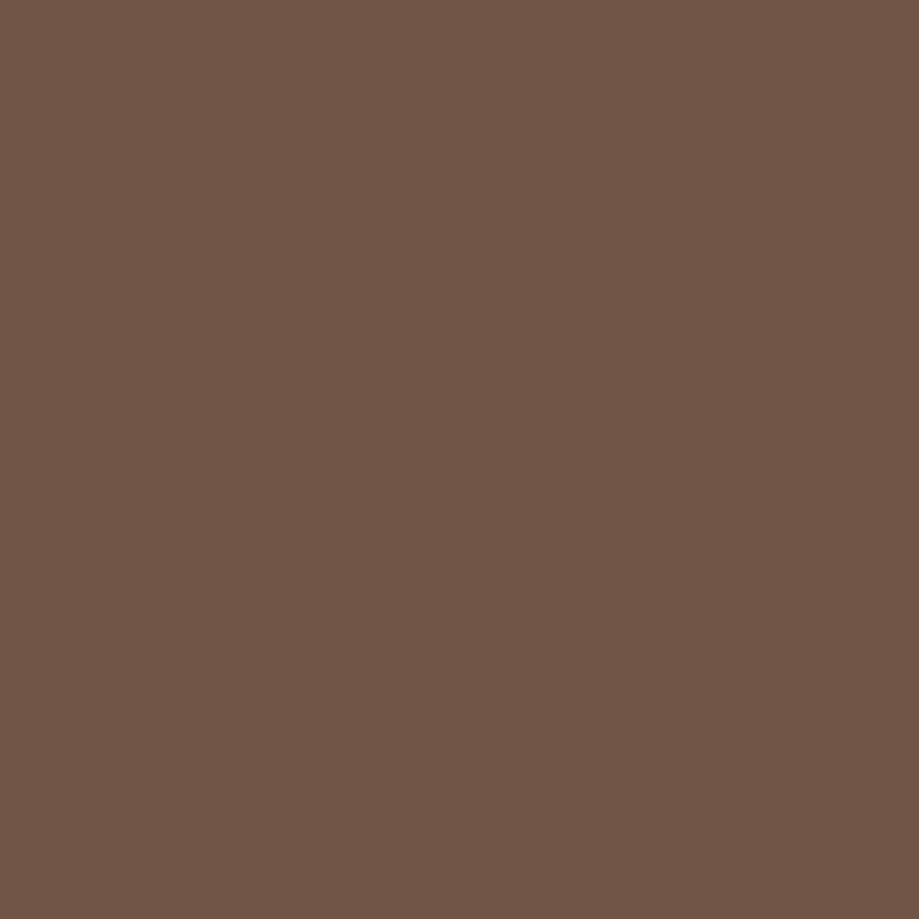 Acrylic Paint Matte, 8oz., Coffee Bean