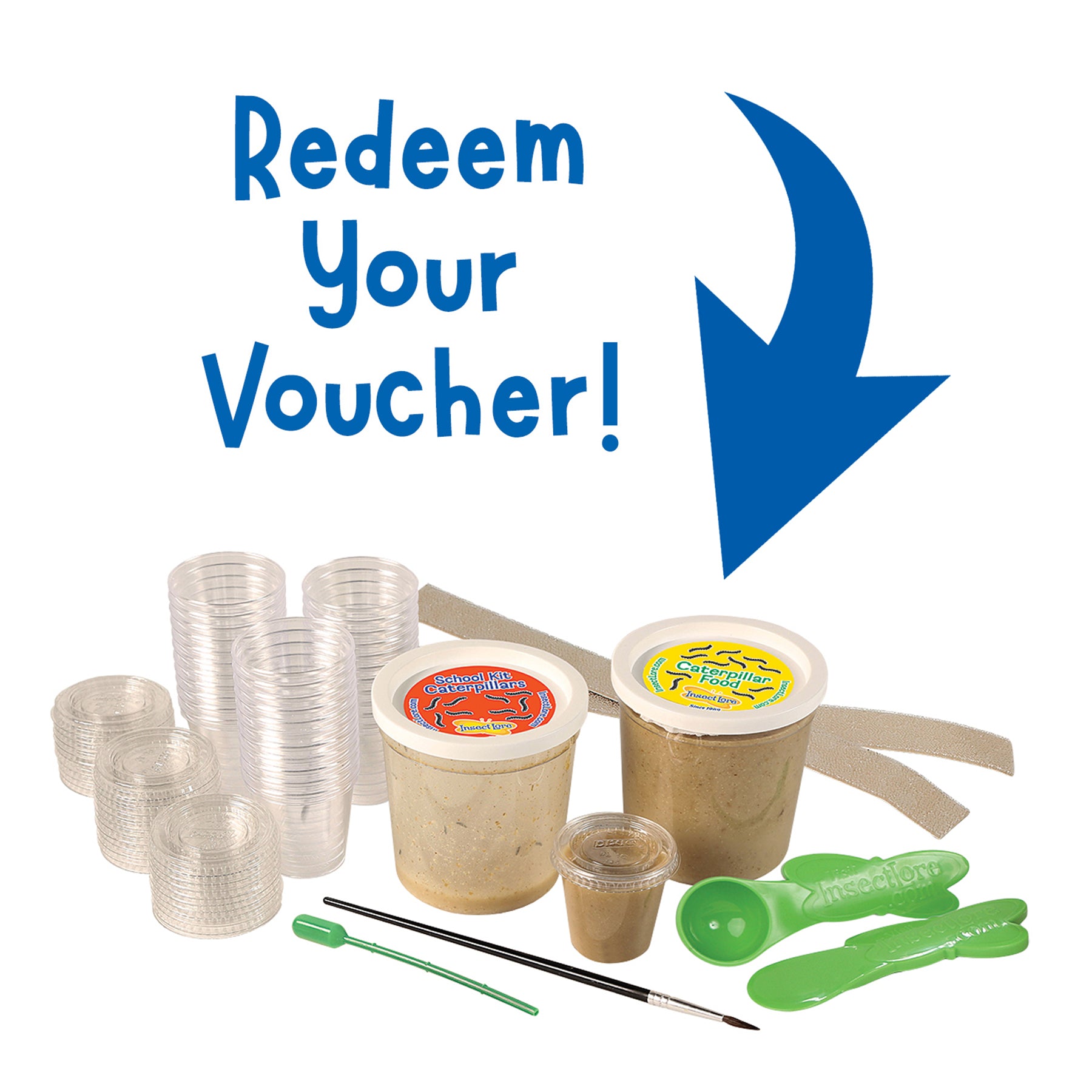 Butterfly Growing Classroom Prepaid Kit, Voucher for 33 Caterpillars