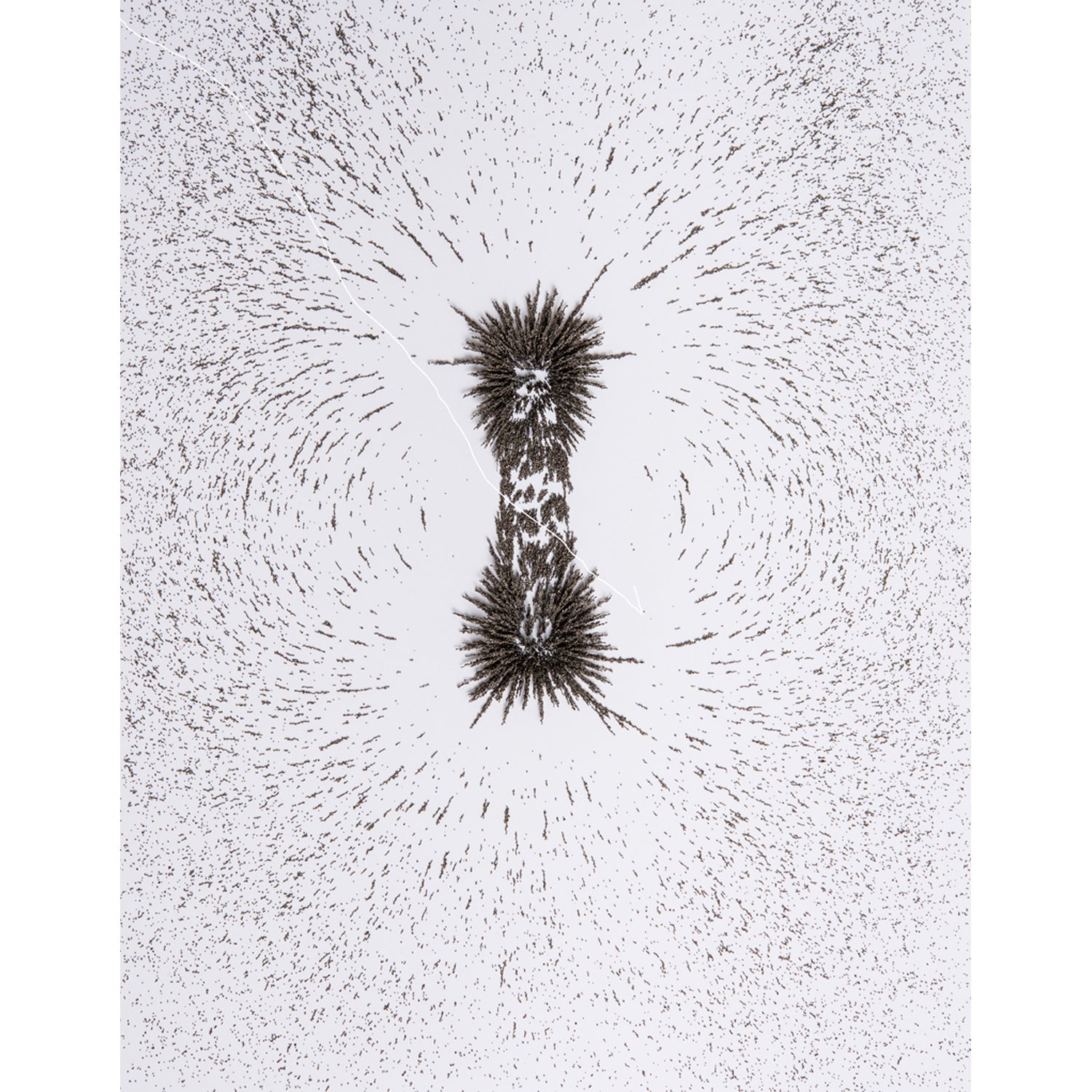 Iron Filings, 12 oz.