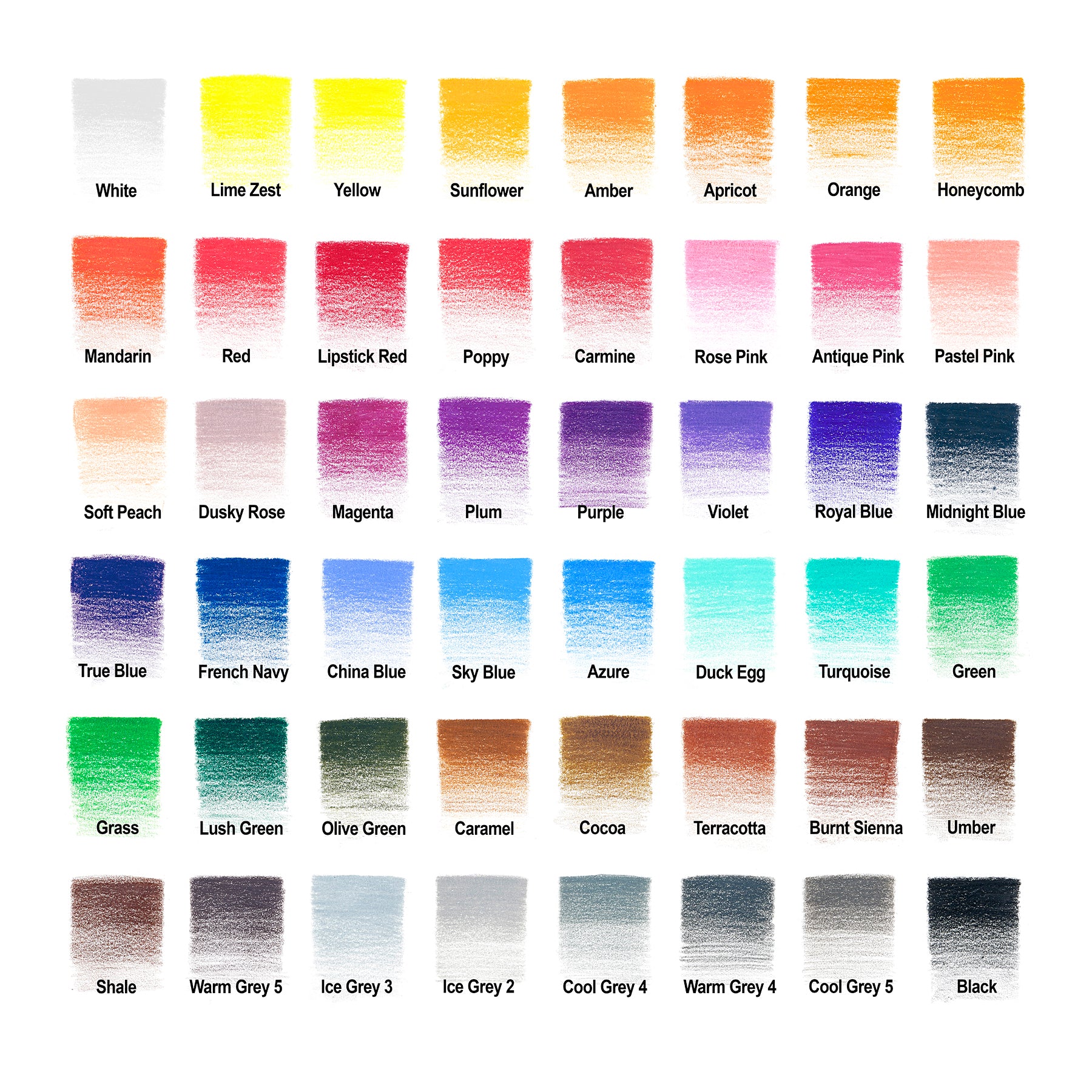 WN Studio Collection Colour Pencil Tin - 48pc