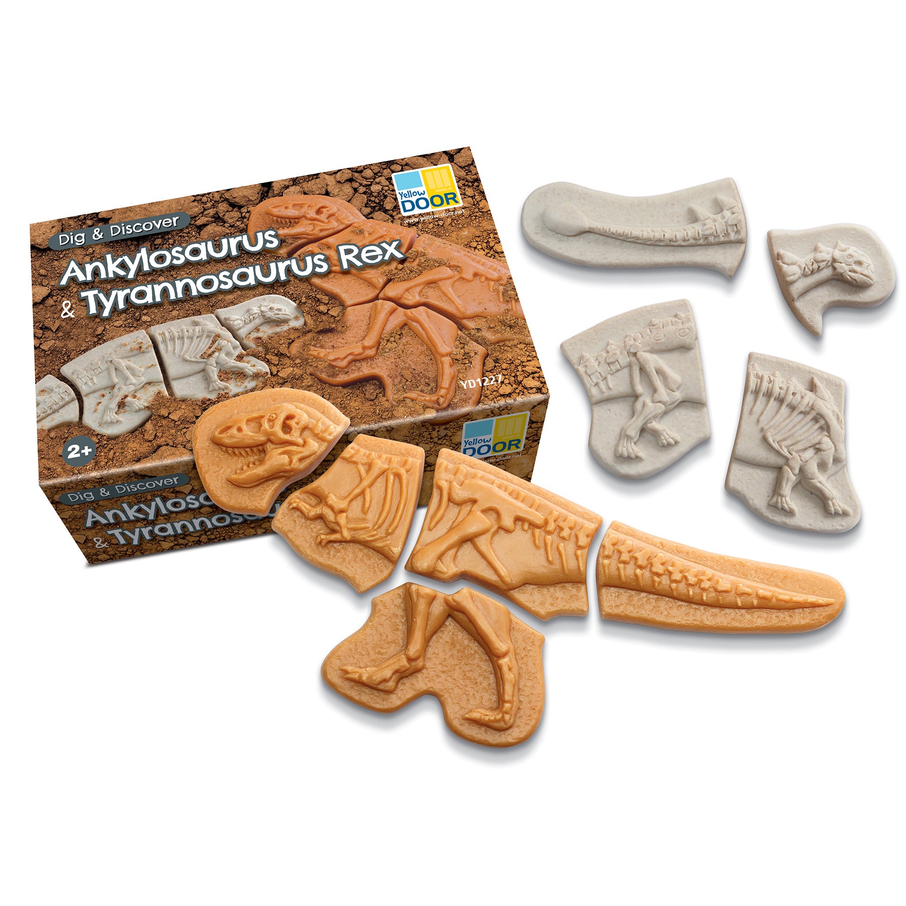 Dig and Discover - Dinosaur Pack
