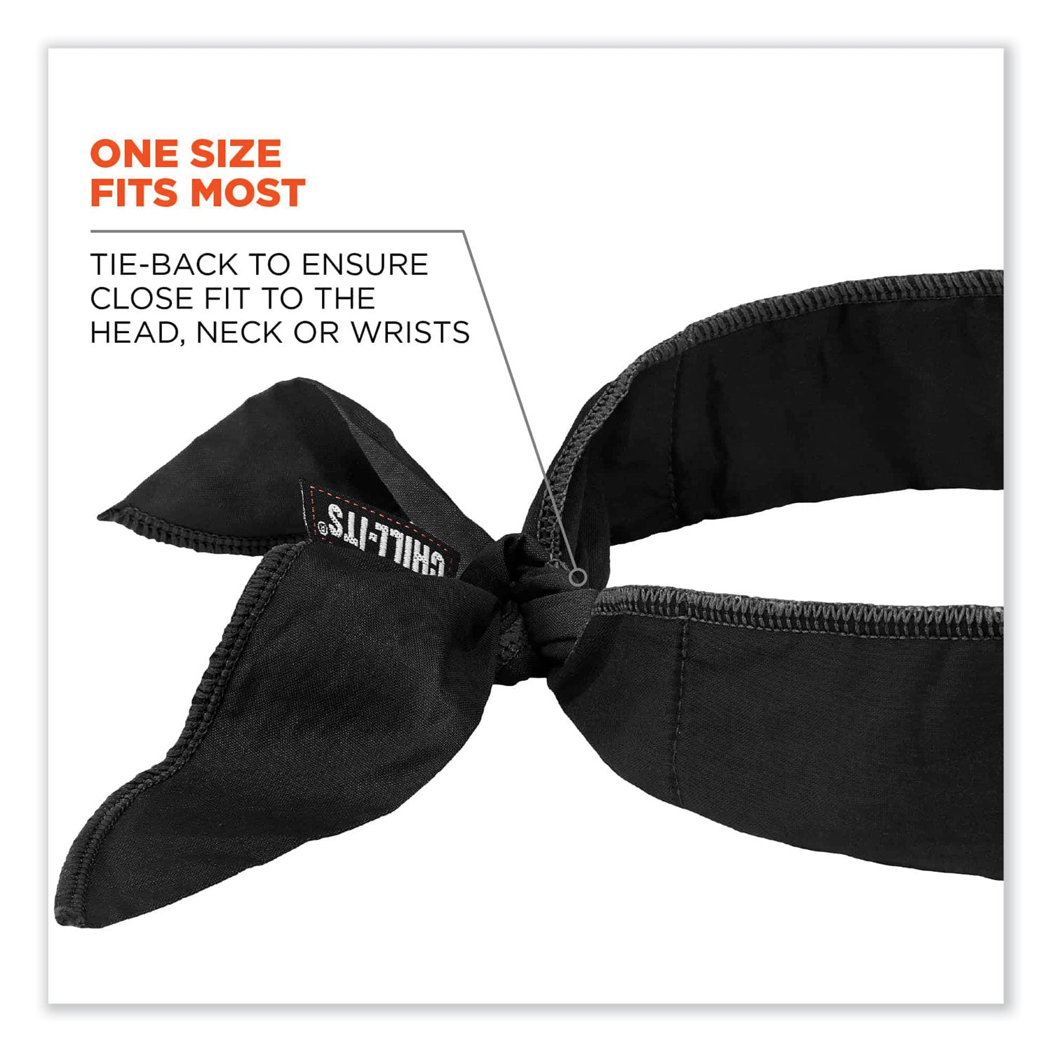 Ergodyne 6702 Cooling Bandana - Black - Polymer