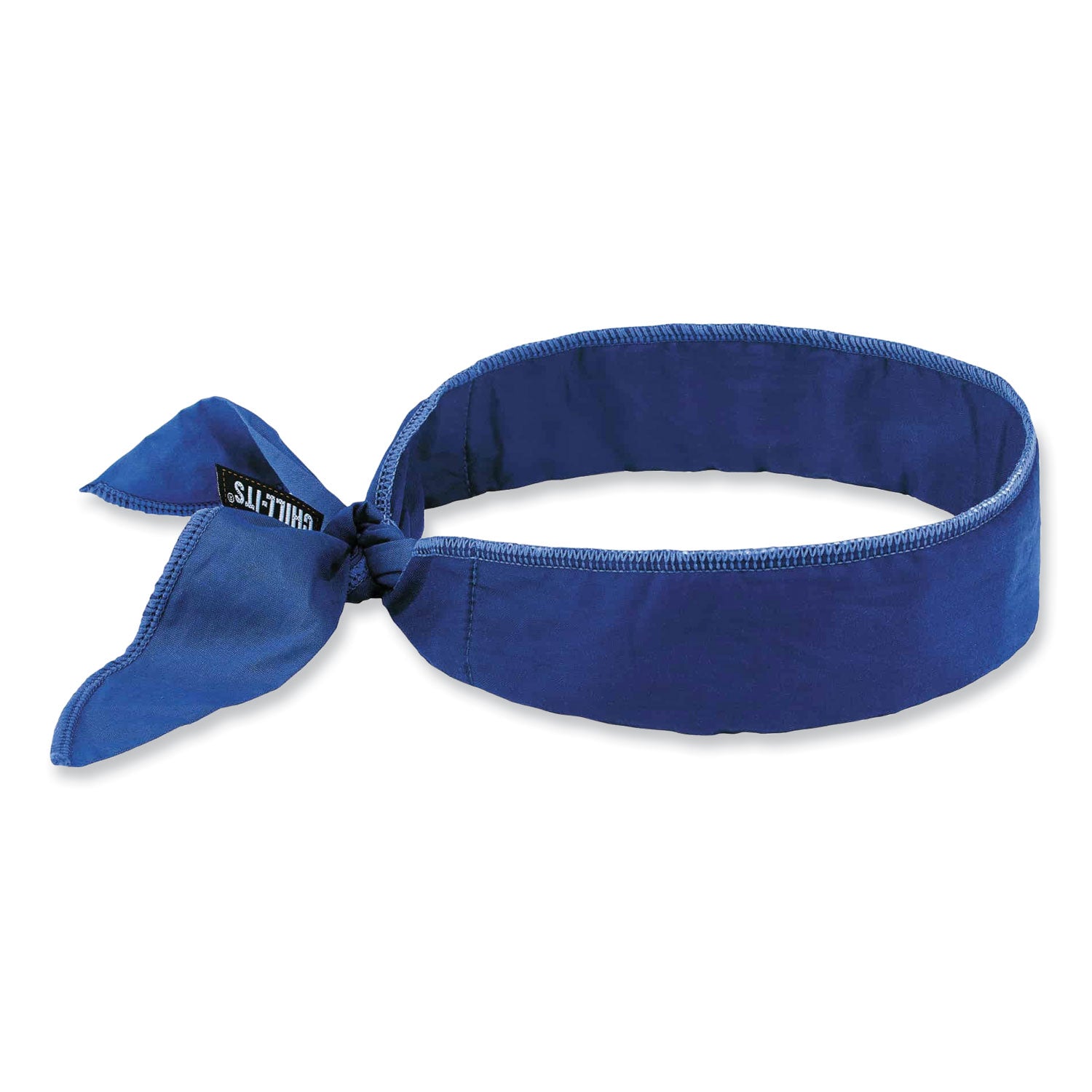 Ergodyne 6702 Cooling Bandana - Blue - Polymer