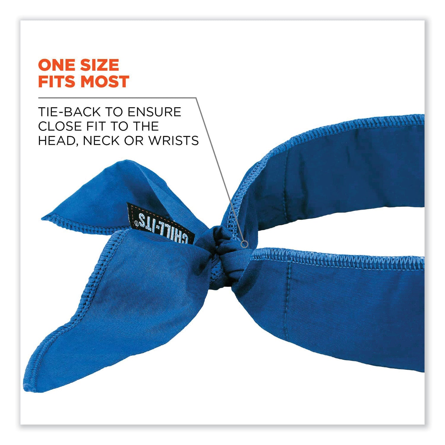 Ergodyne 6702 Cooling Bandana - Blue - Polymer