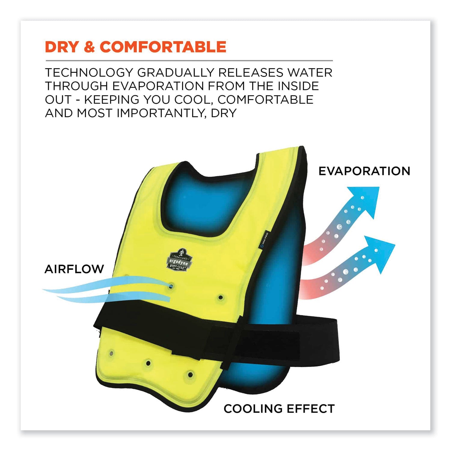 Ergodyne 6687 Economy Dry Evaporative Cooling Vest, Small/Medium, Lime, Machine Washable, Lightweight, Durable, Elastic Waist, Antimicrobial, Heat Resistant, High Visibility - 1 Each
